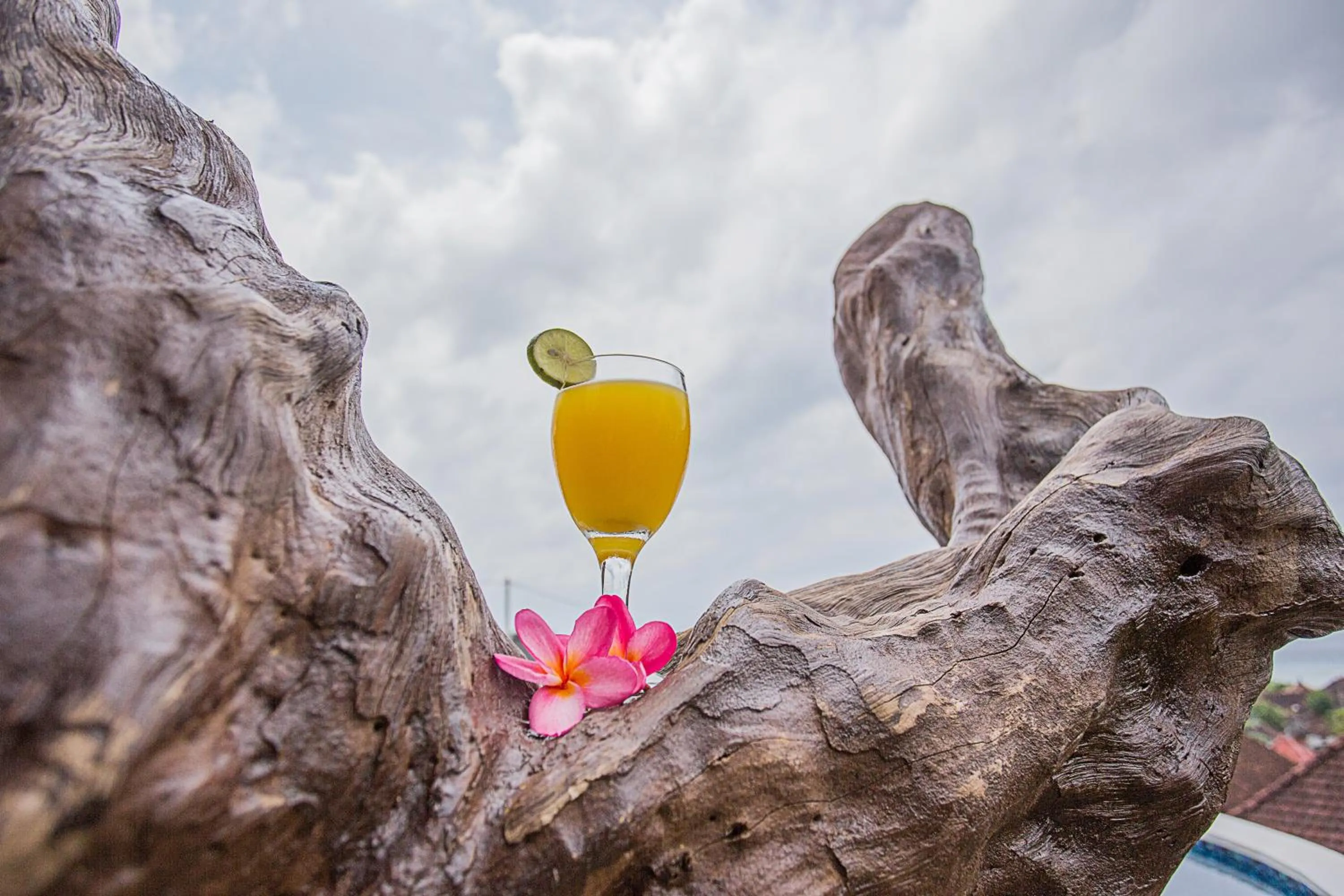 Summer in Kabeh Jati Garden Villa & Restaurant