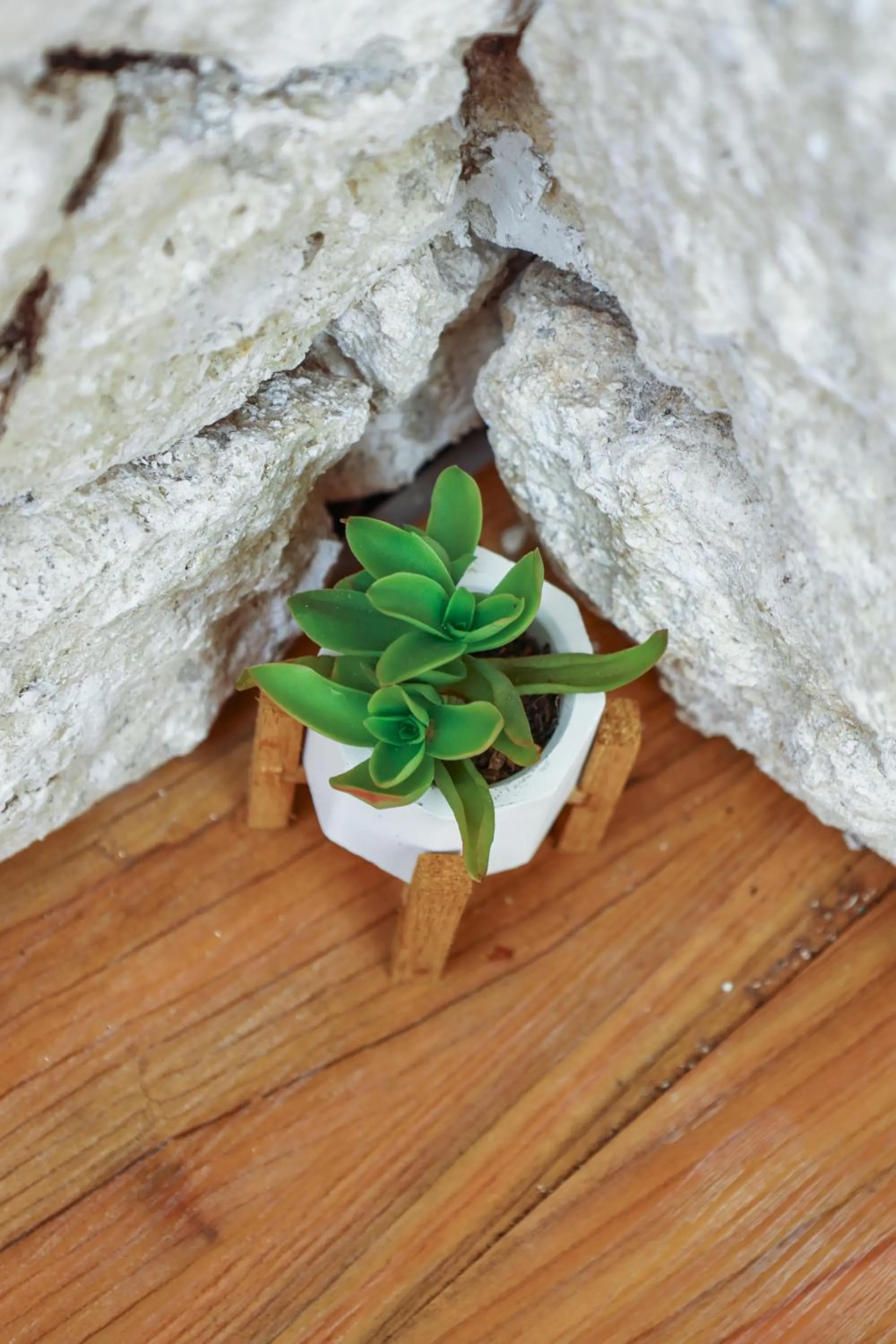 Decorative detail in Kabeh Jati Garden Villa & Restaurant