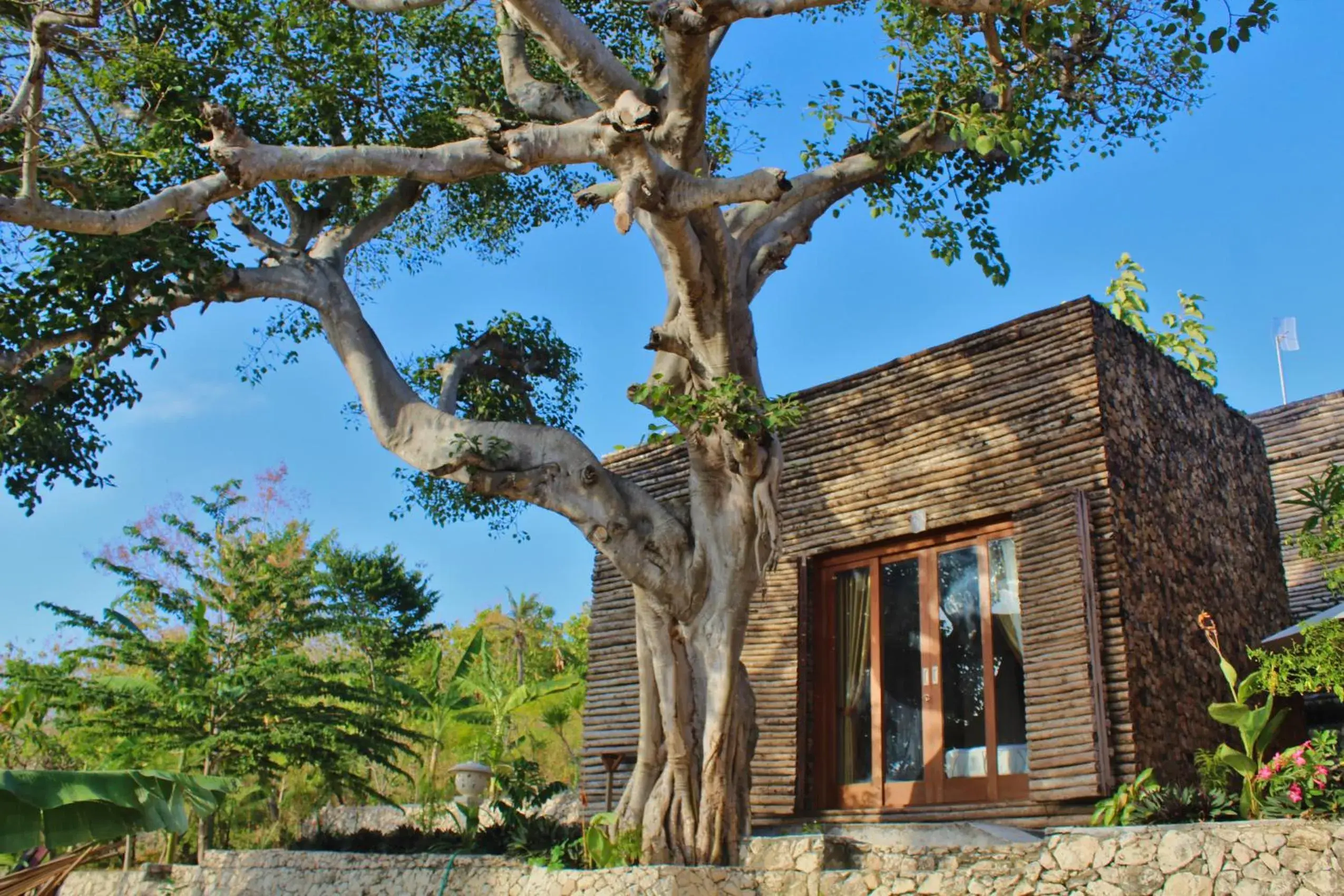 Deluxe Double Room (2 Adults + 1 Child) in Kabeh Jati Garden Villa & Restaurant Deluxe Double Room (2 Adults + 1 Child) in Kabeh Jati Garden Villa & Restaurant