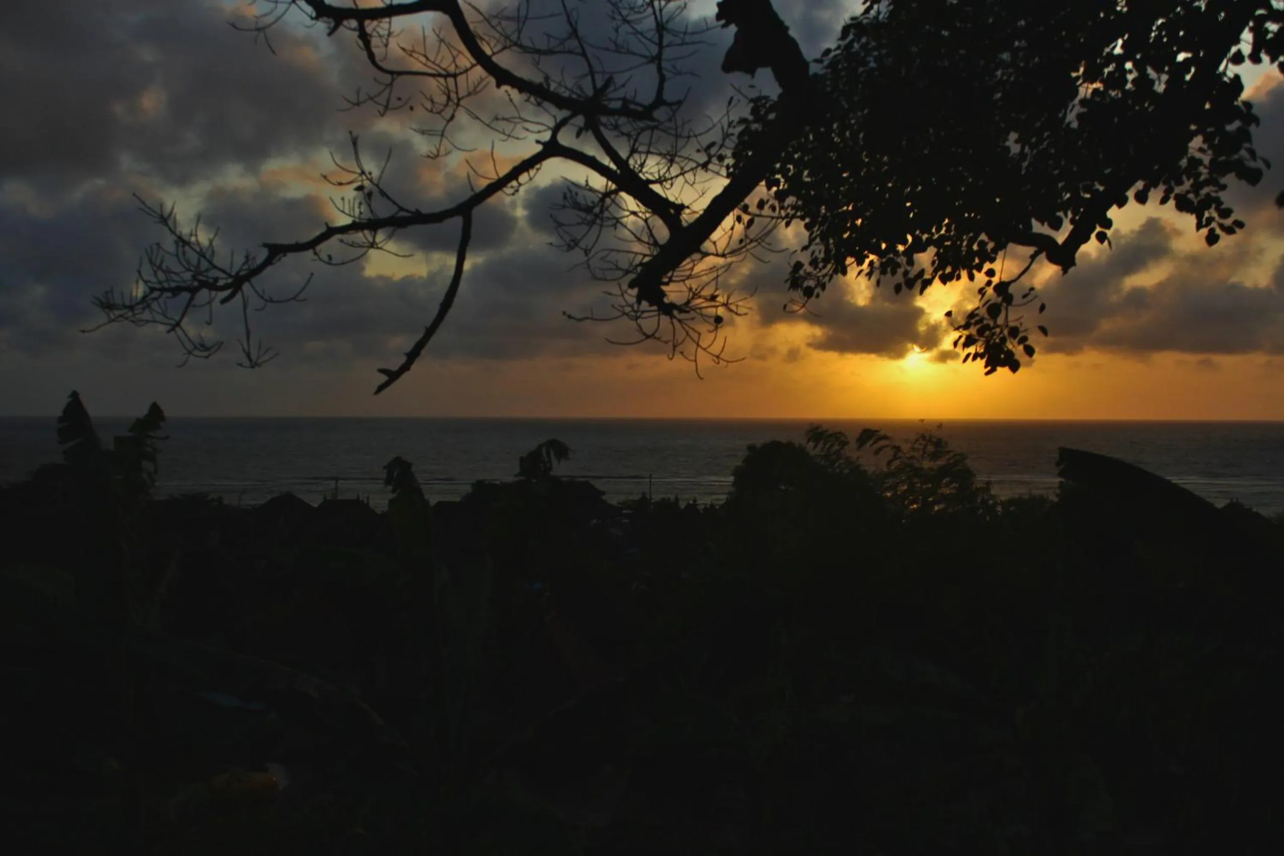 Garden view in Kabeh Jati Garden Villa & Restaurant