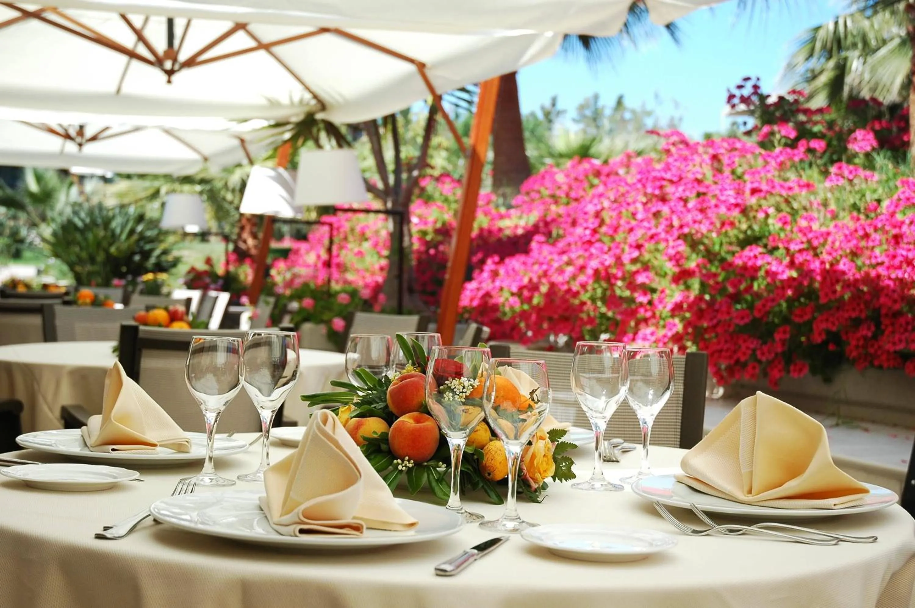 Restaurant/places to eat in Acacia Resort Parco Dei Leoni