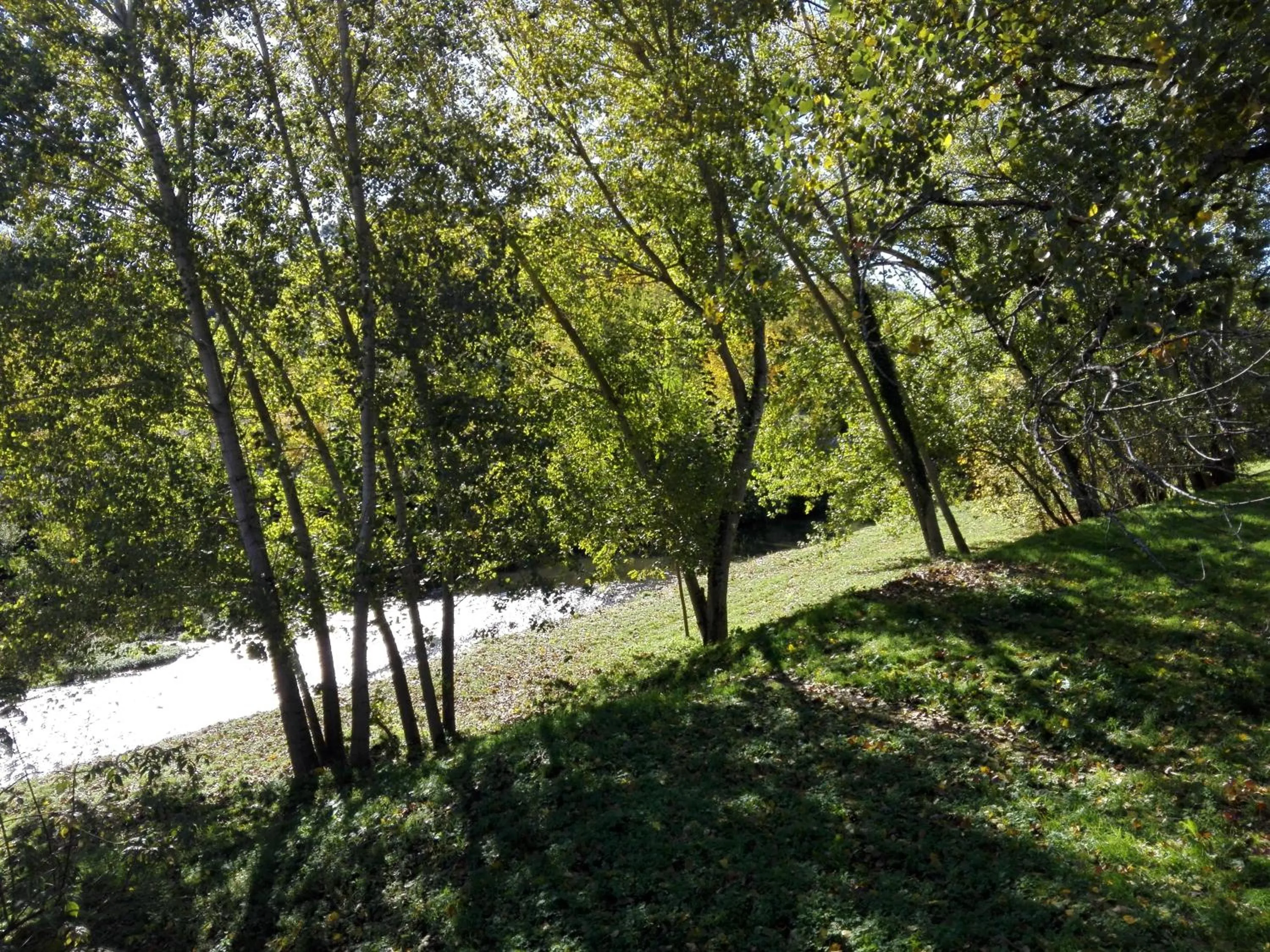 Nearby landmark in Relais Dante e Beatrice