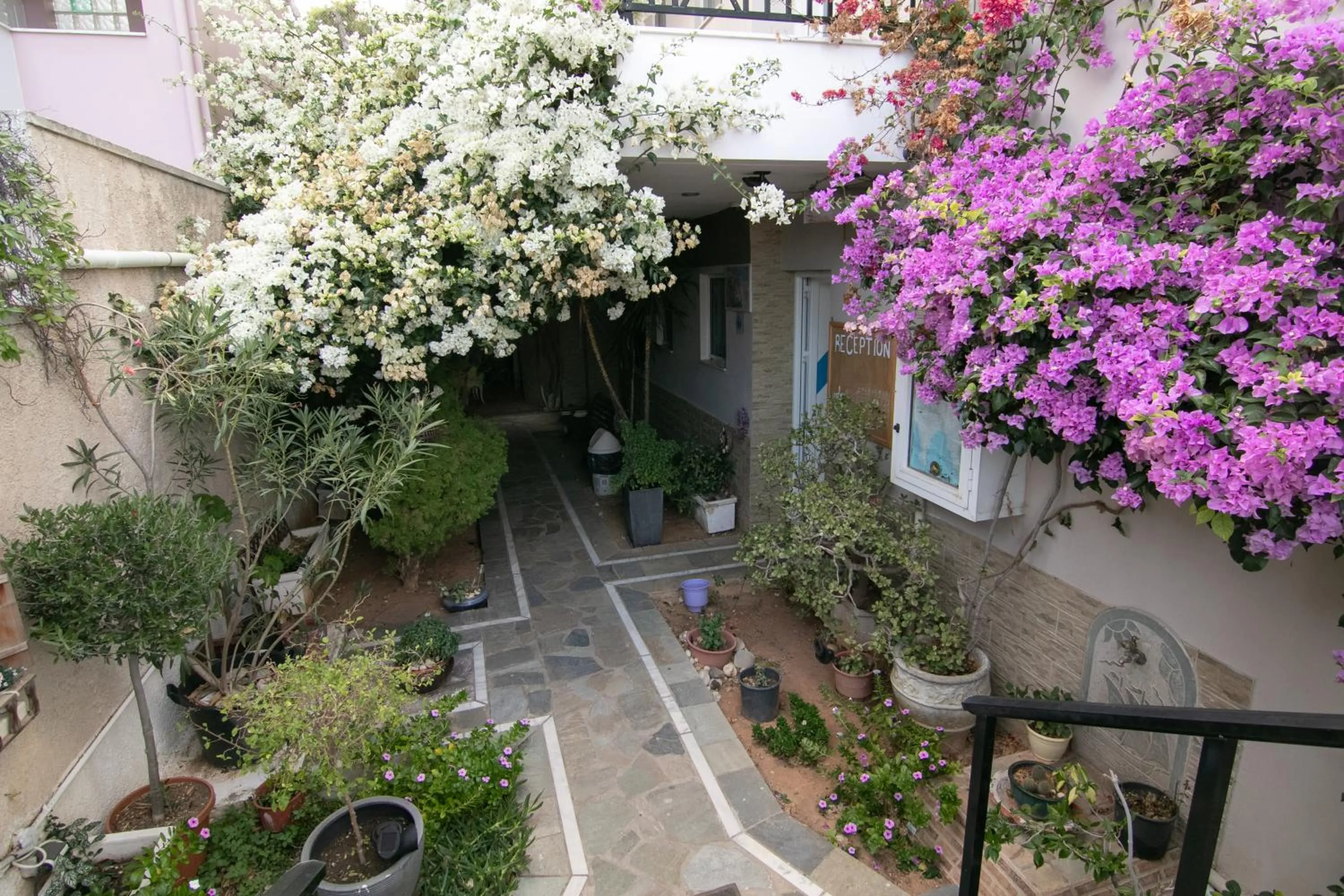 Property building in Malvasia Corner Studios - ex Romeo's House