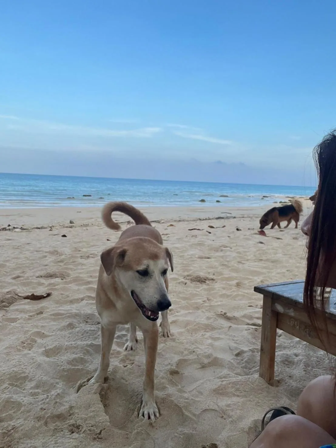 Beach in Sanctuary Lanta