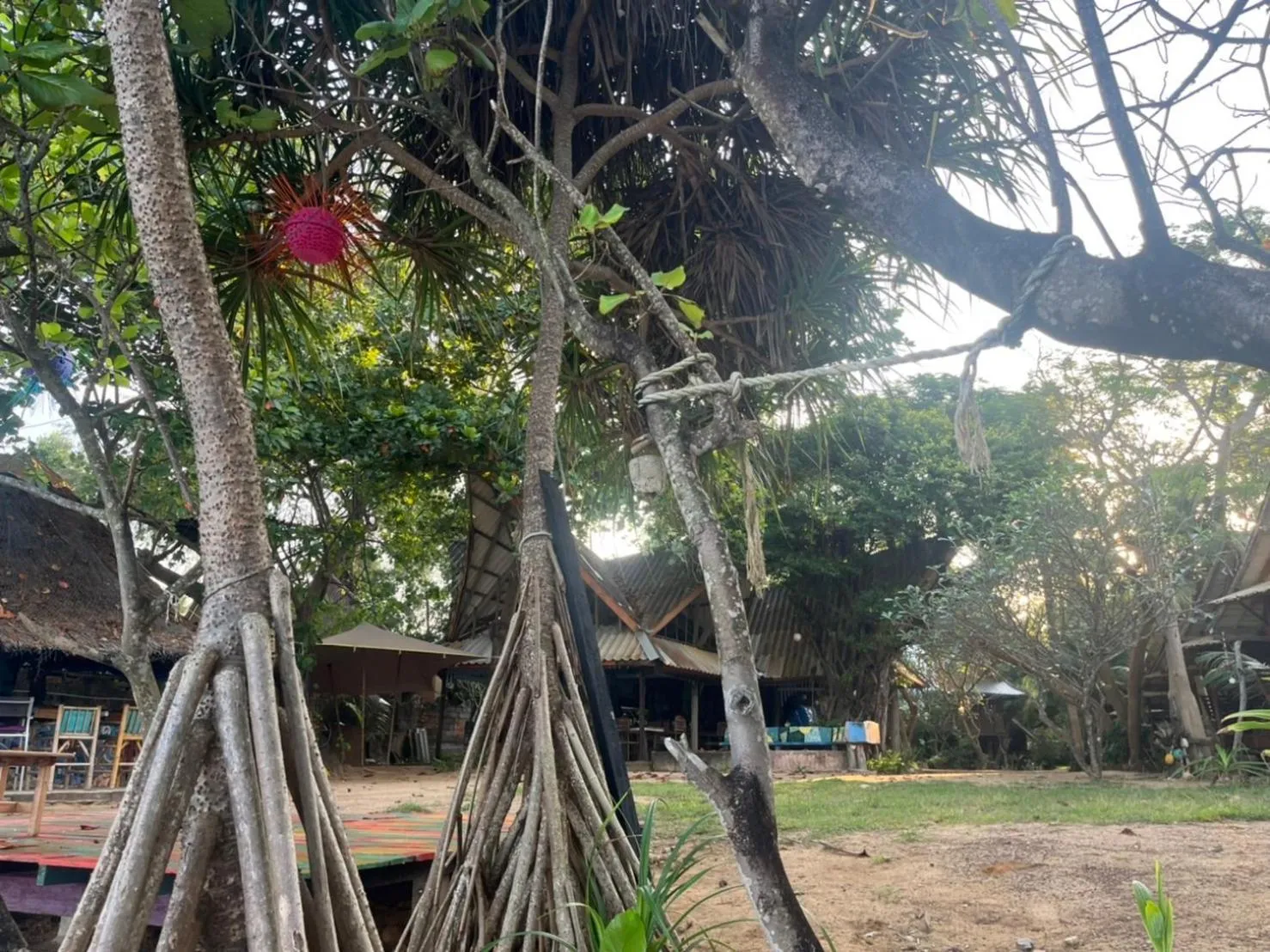 Garden in Sanctuary Lanta