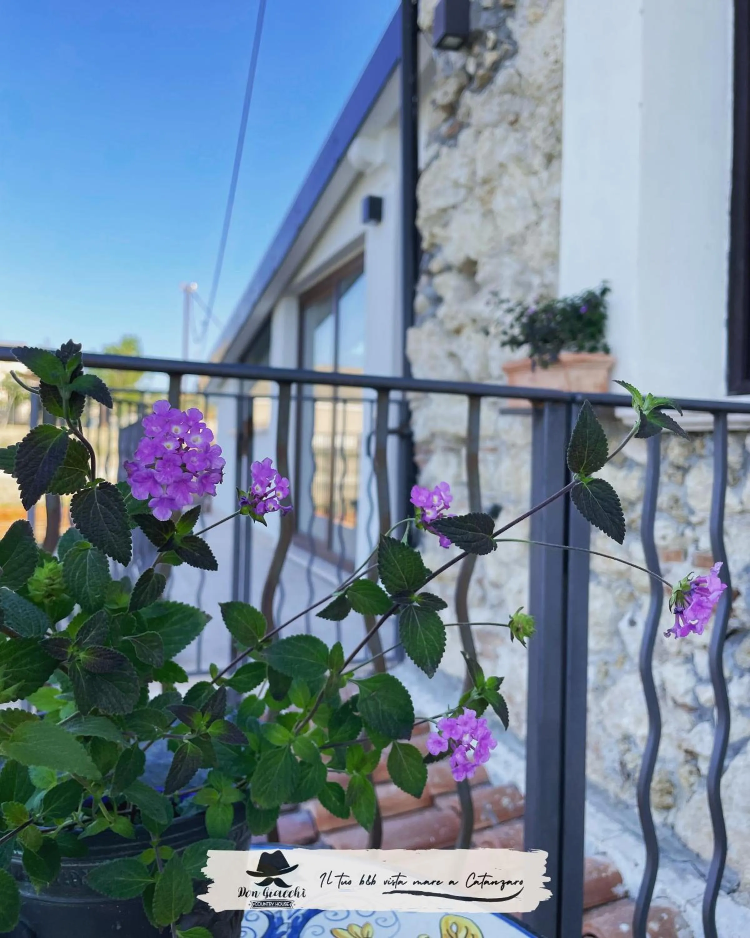 Don Giacchì Country House