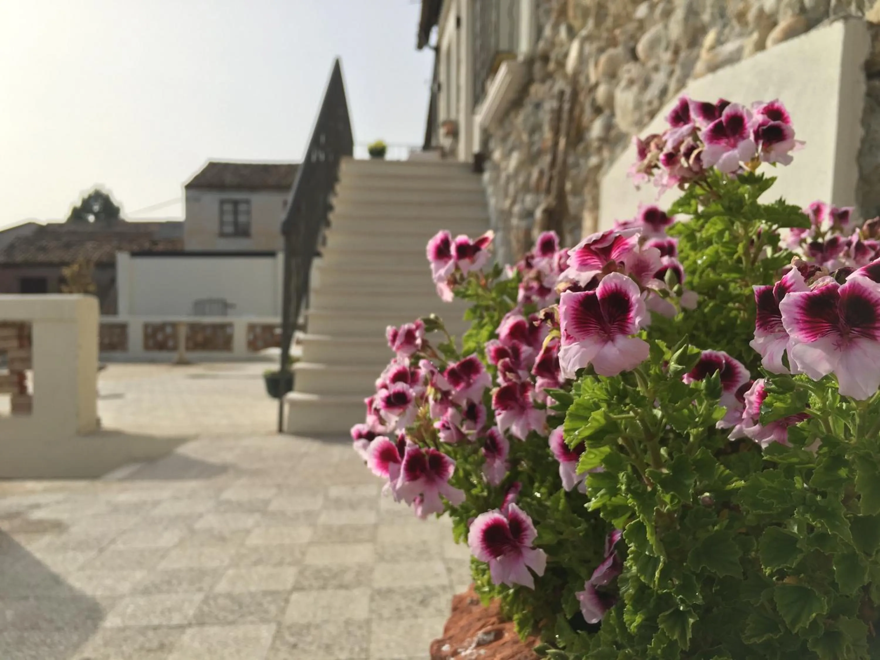 Facade/entrance in Don Giacchì Country House