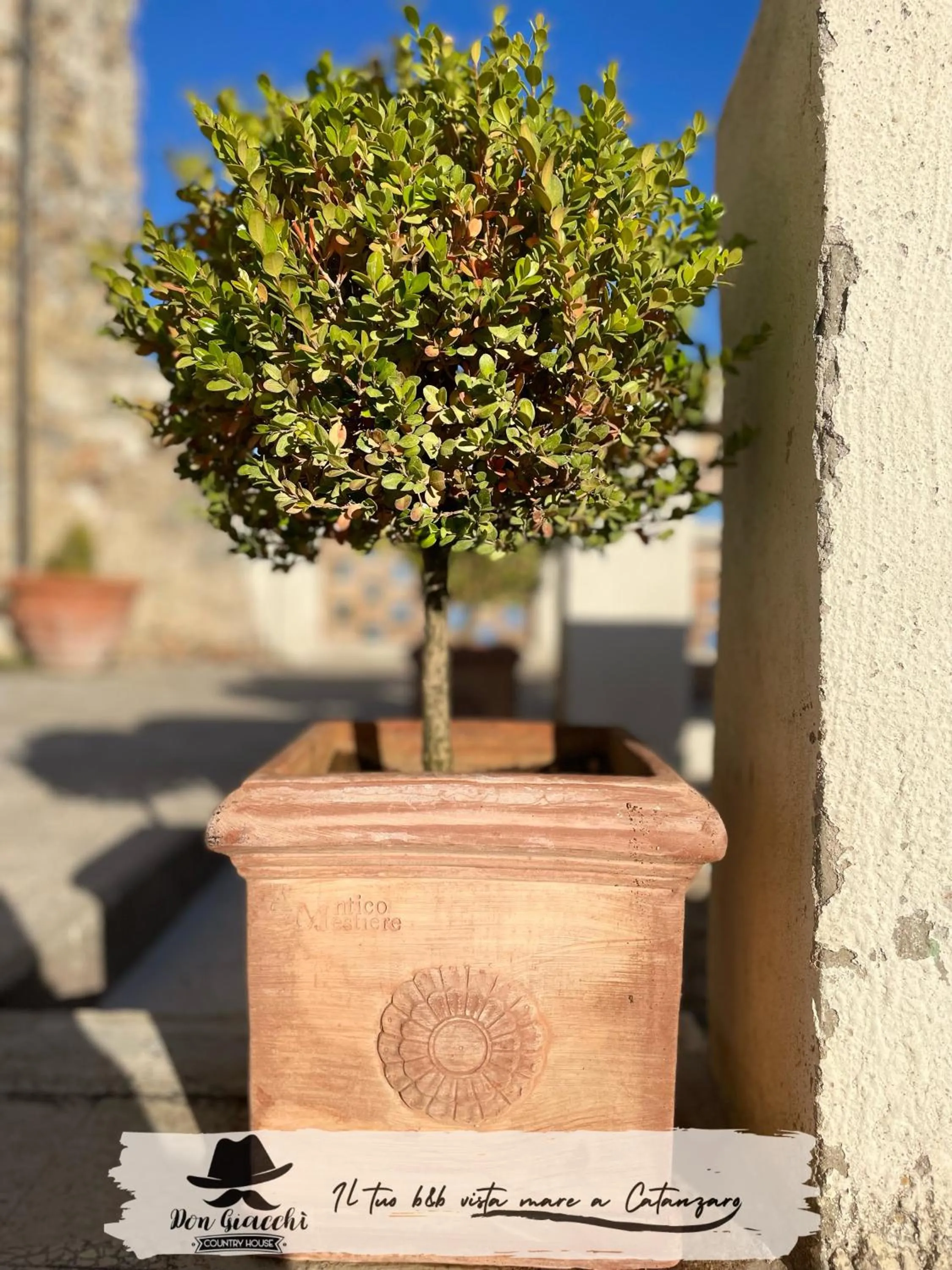 Don Giacchì Country House