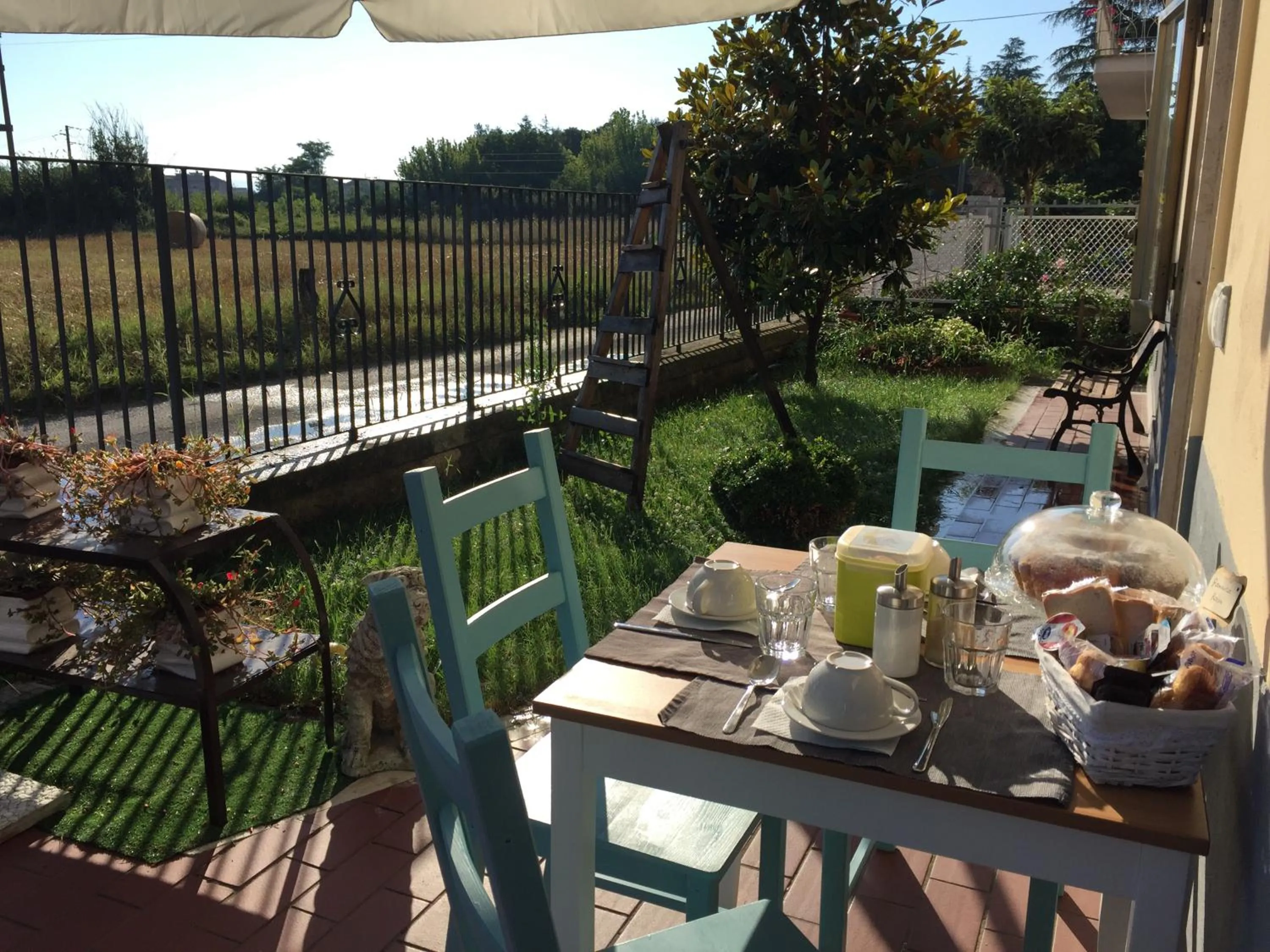 Garden in San Lorenzo