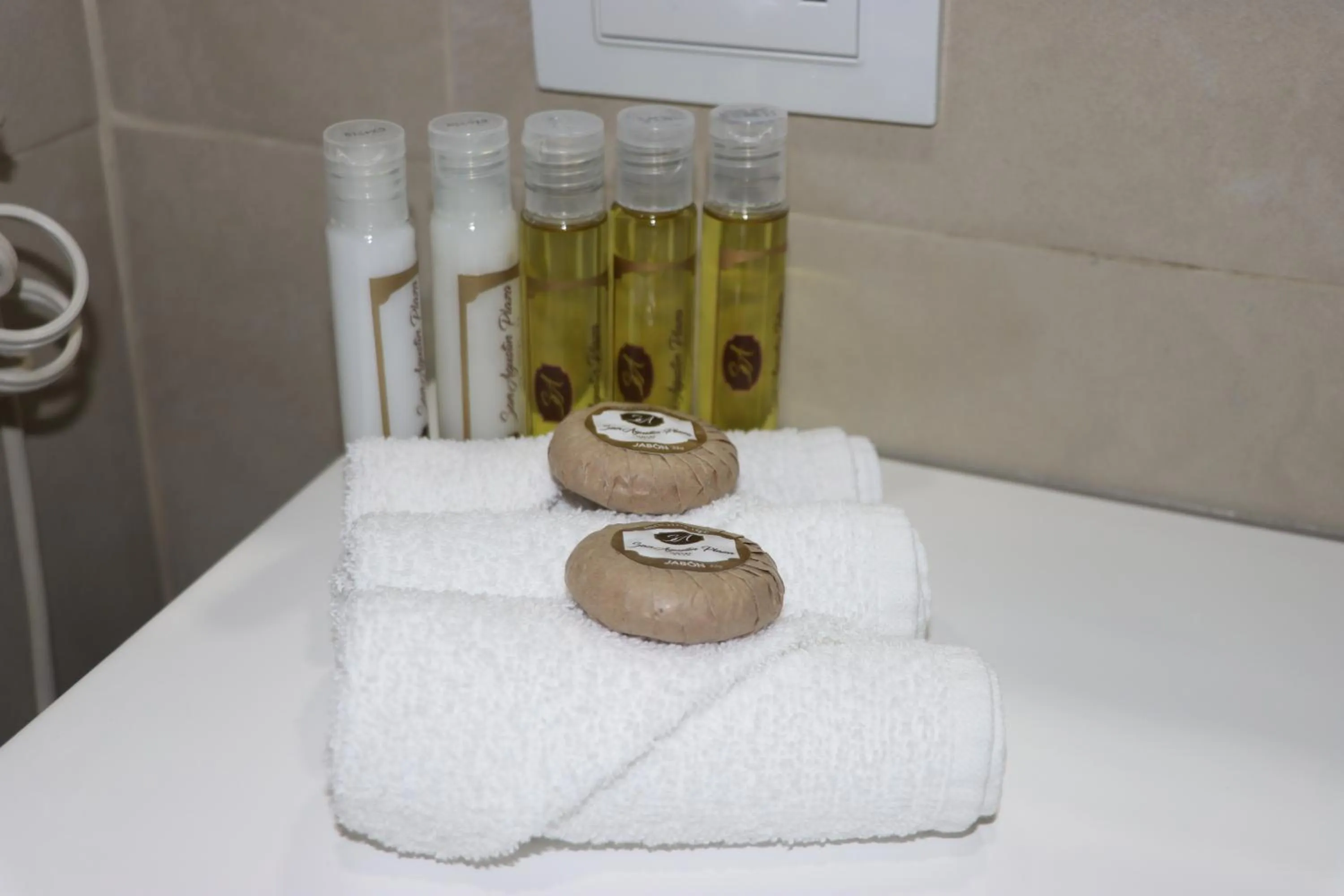 Toilet in Hotel San Agustin Plaza