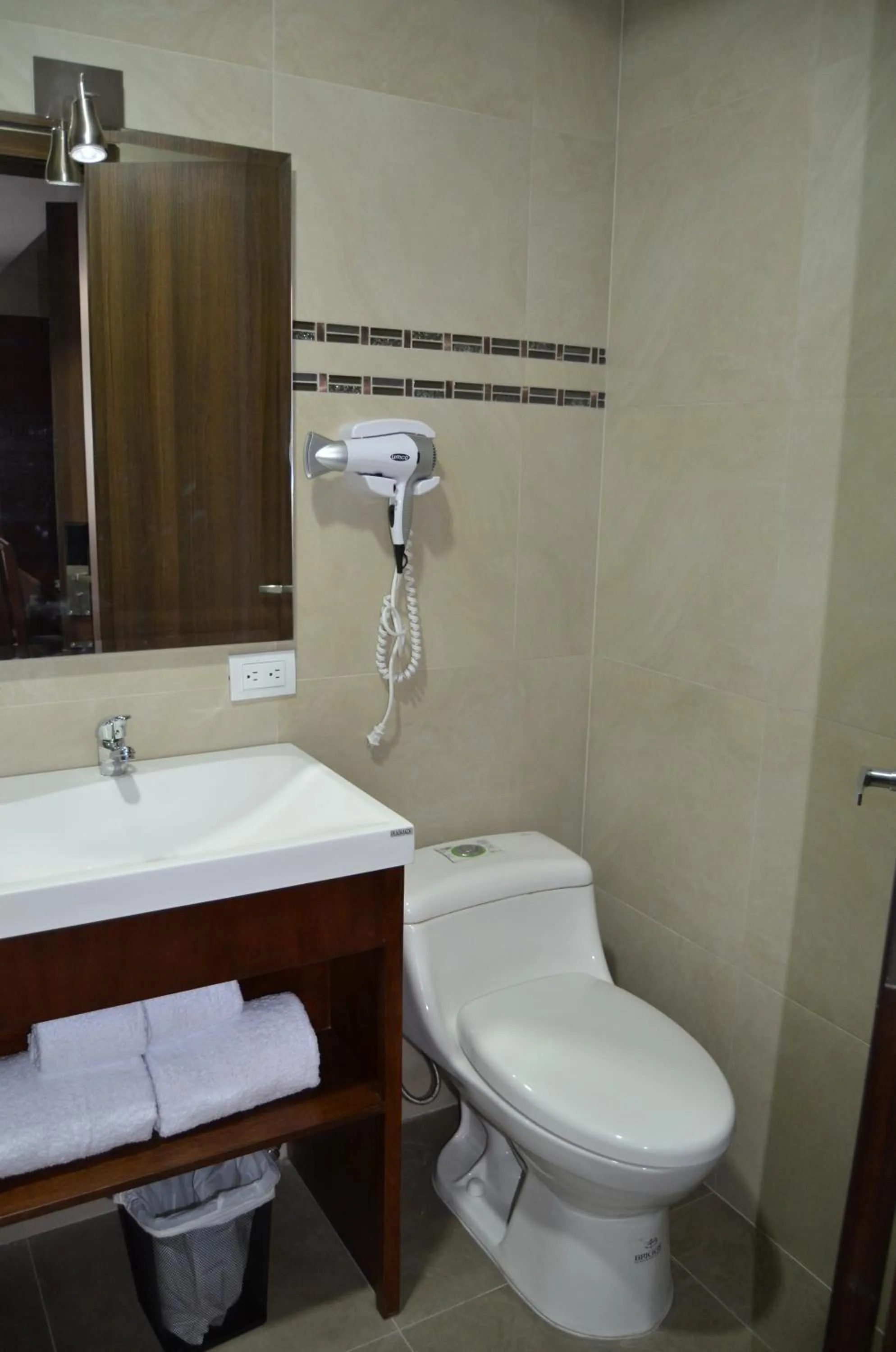 Toilet in Hotel San Agustin Plaza