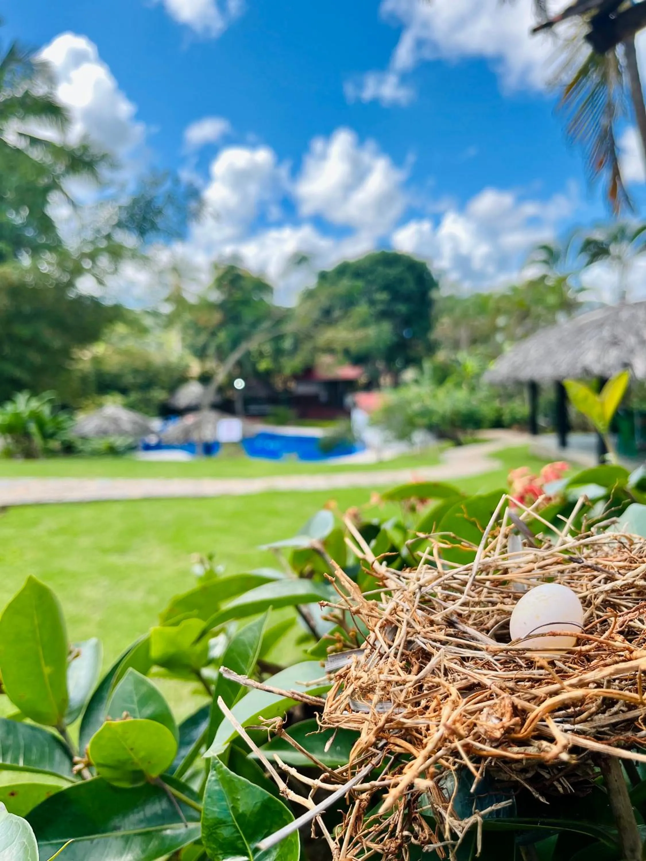Natural landscape in Hotel Rincon Rubi