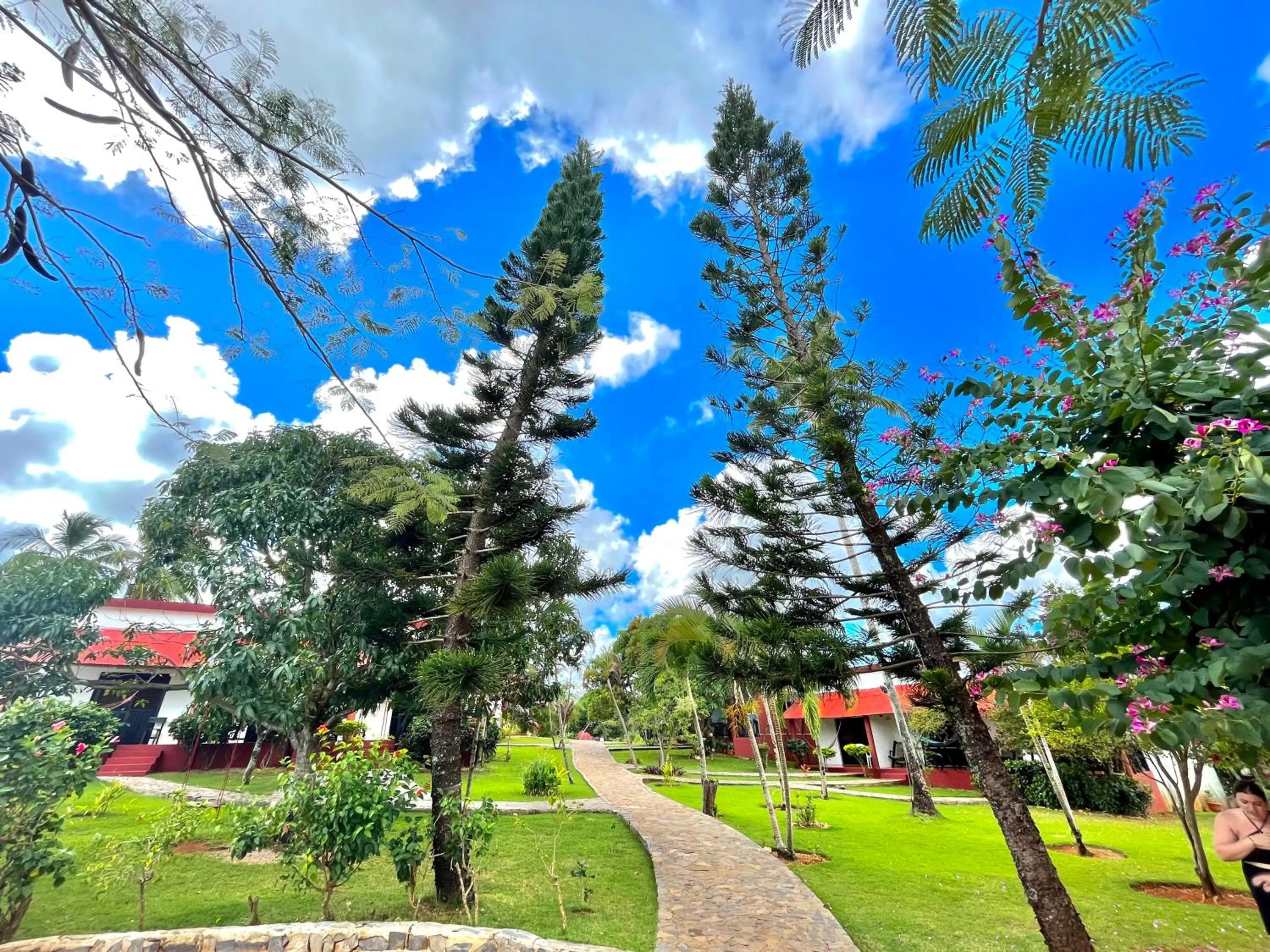 Day in Hotel Rincon Rubi