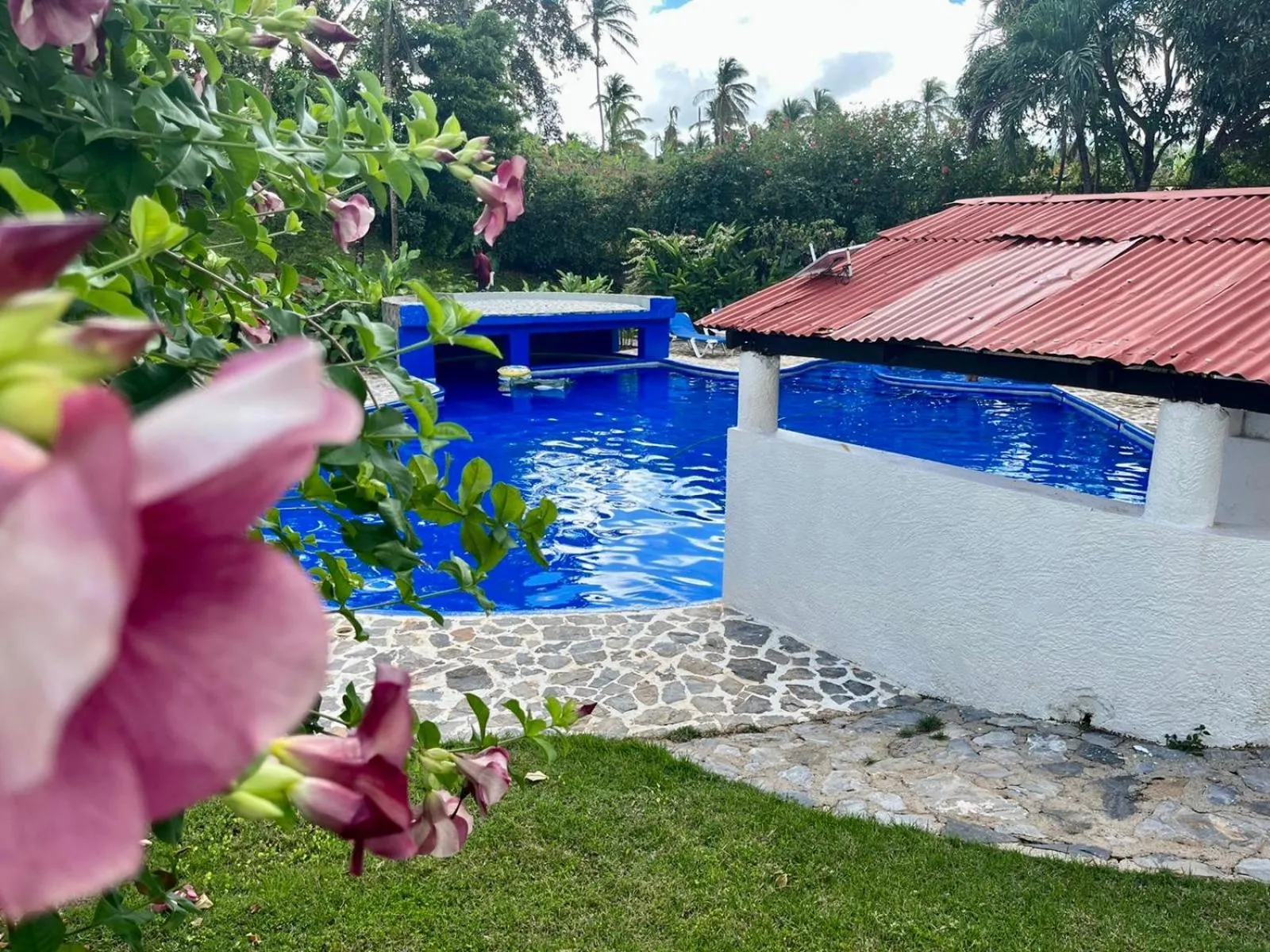 Garden in Hotel Rincon Rubi