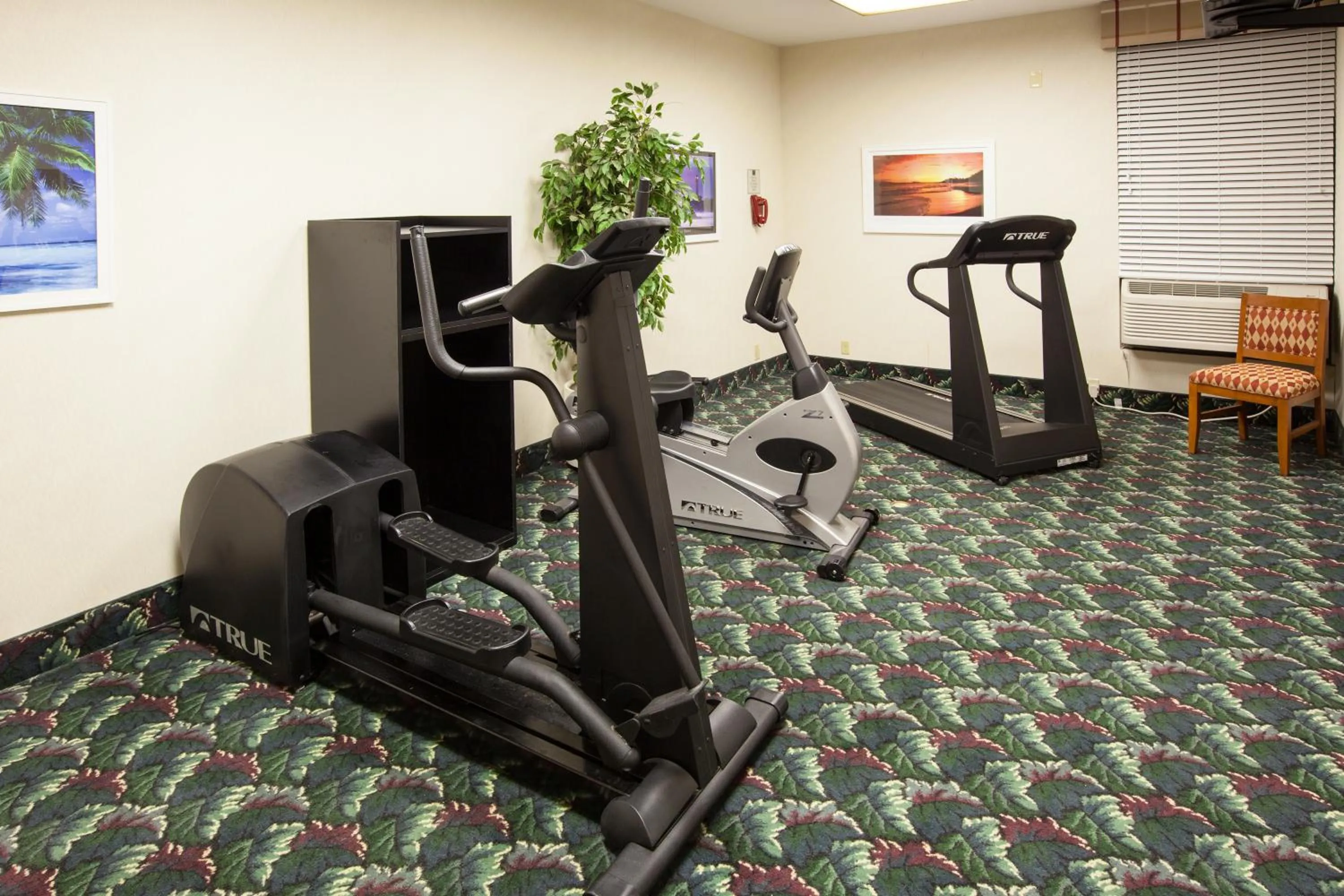 Fitness centre/facilities in Quality Inn & Suites