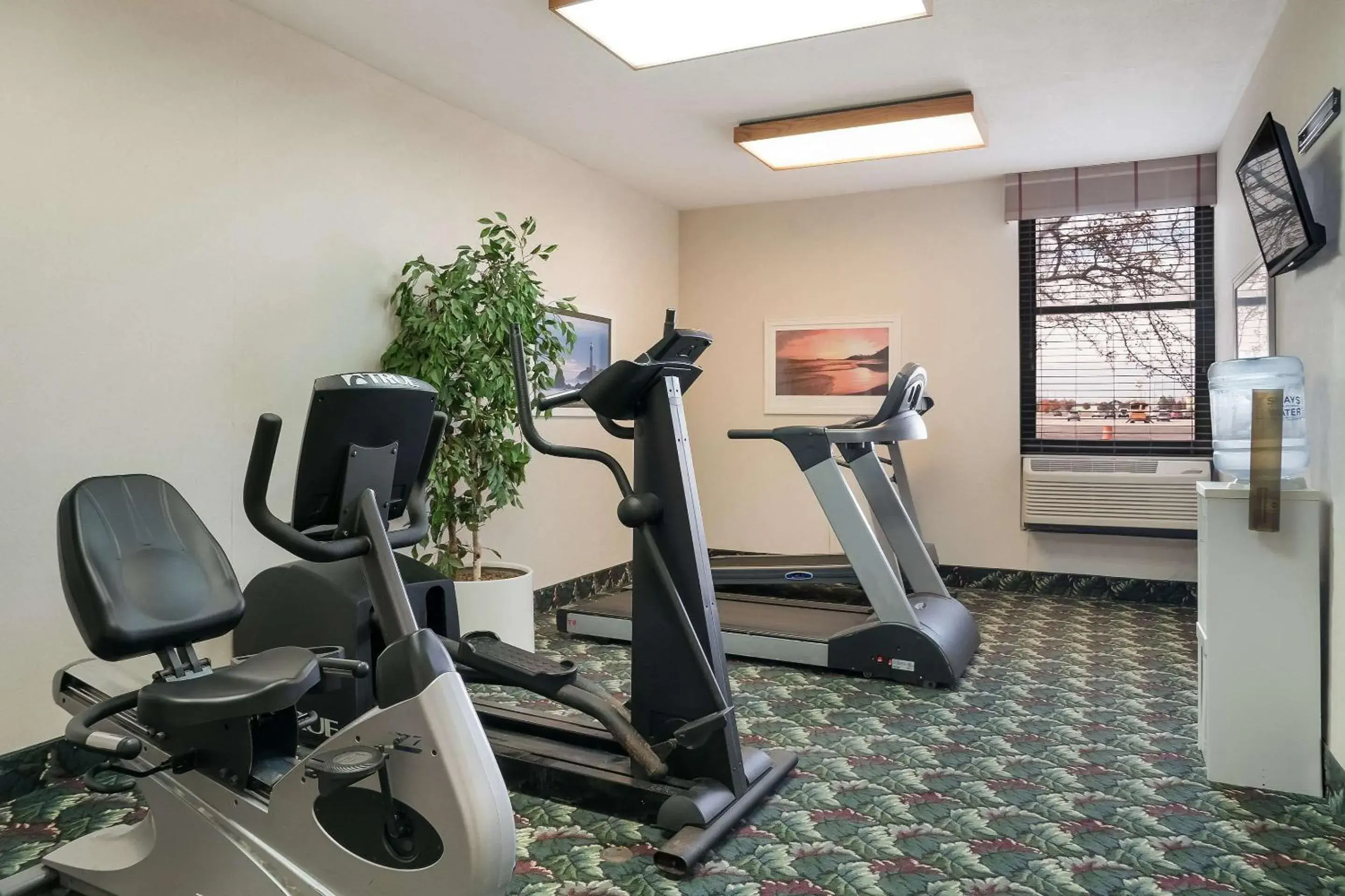 Fitness centre/facilities in Quality Inn & Suites Fitness centre/facilities in Quality Inn & Suites
