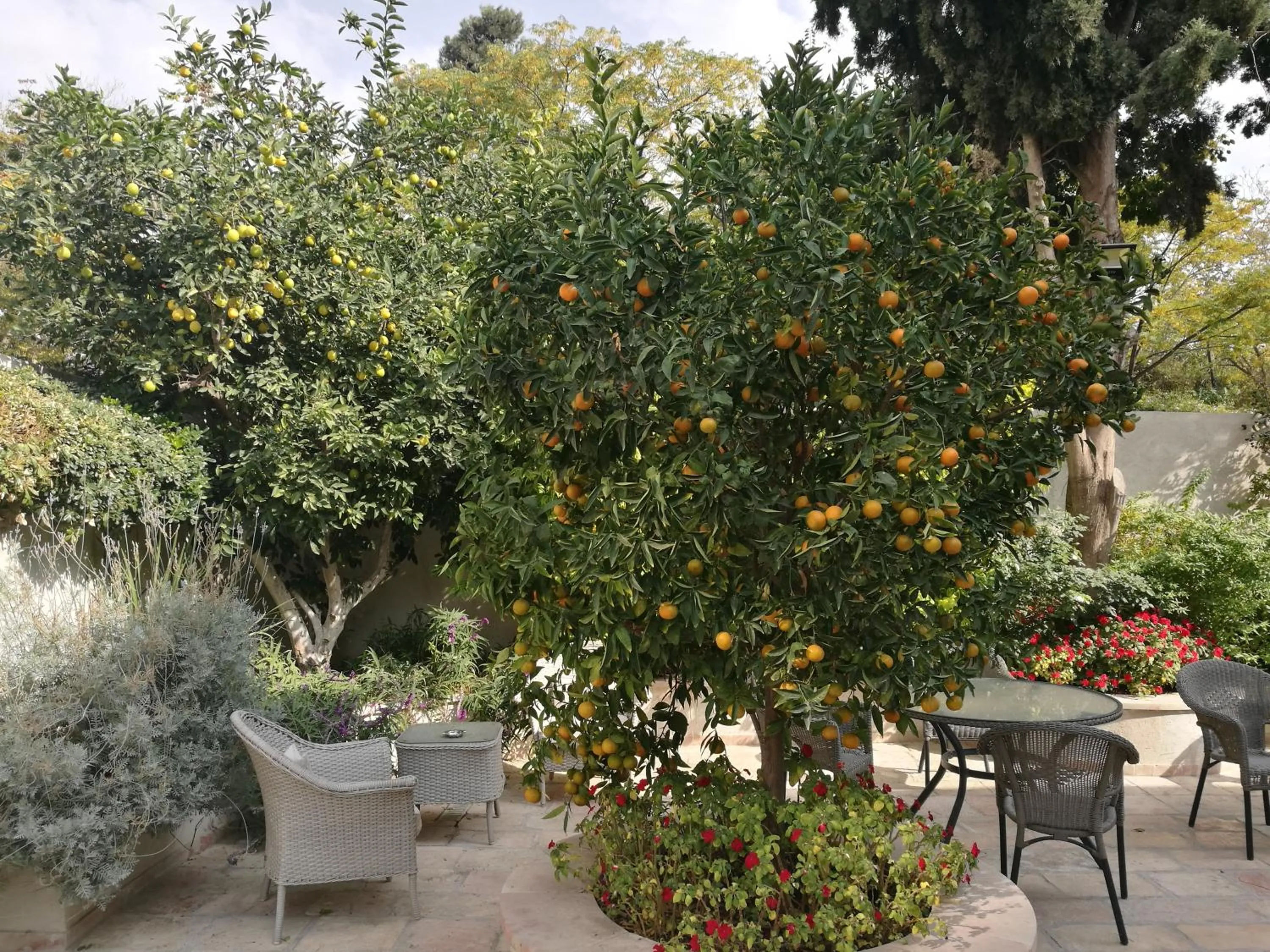 Patio in The Templer Inn