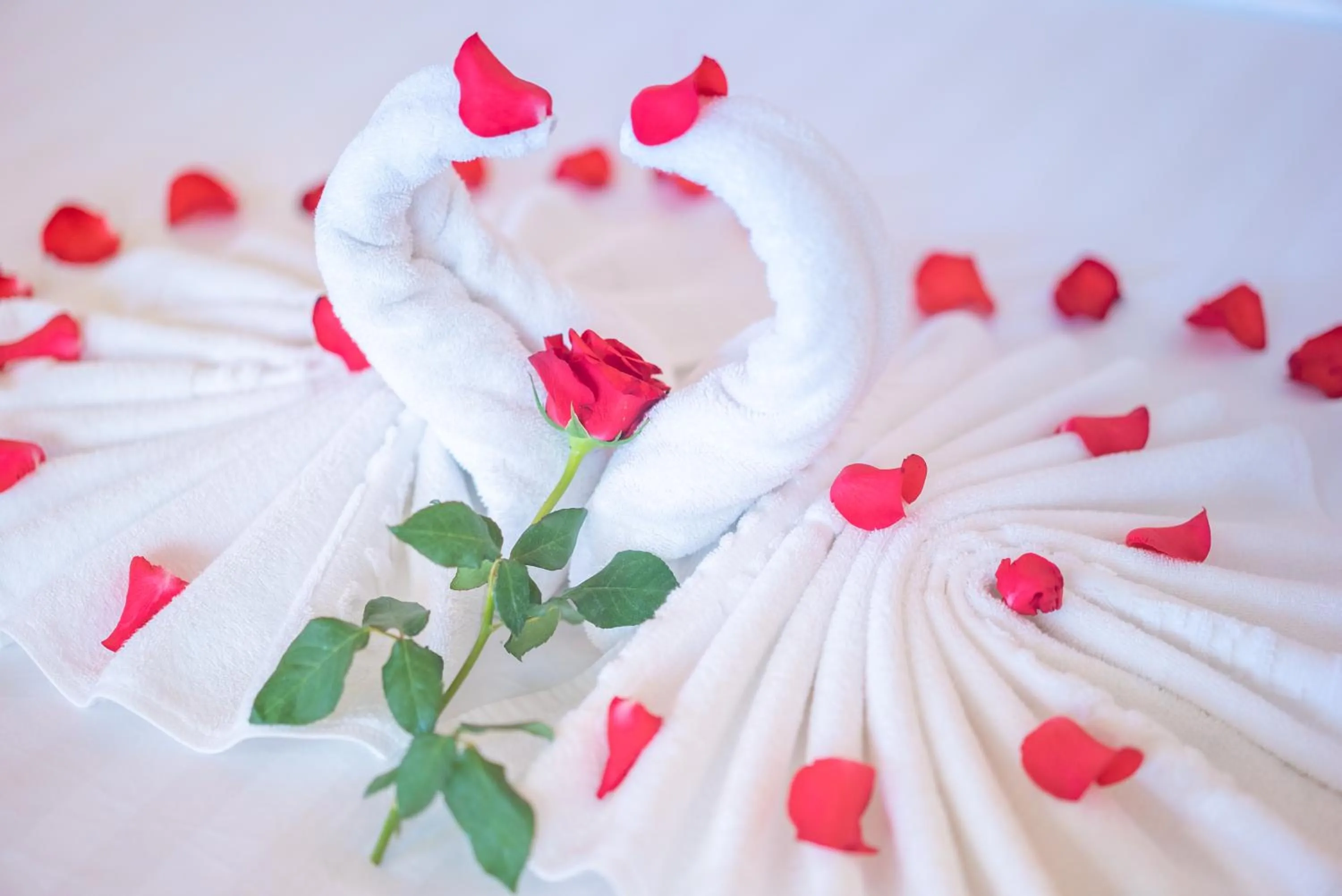 Bed in Oscar Saigon Hotel