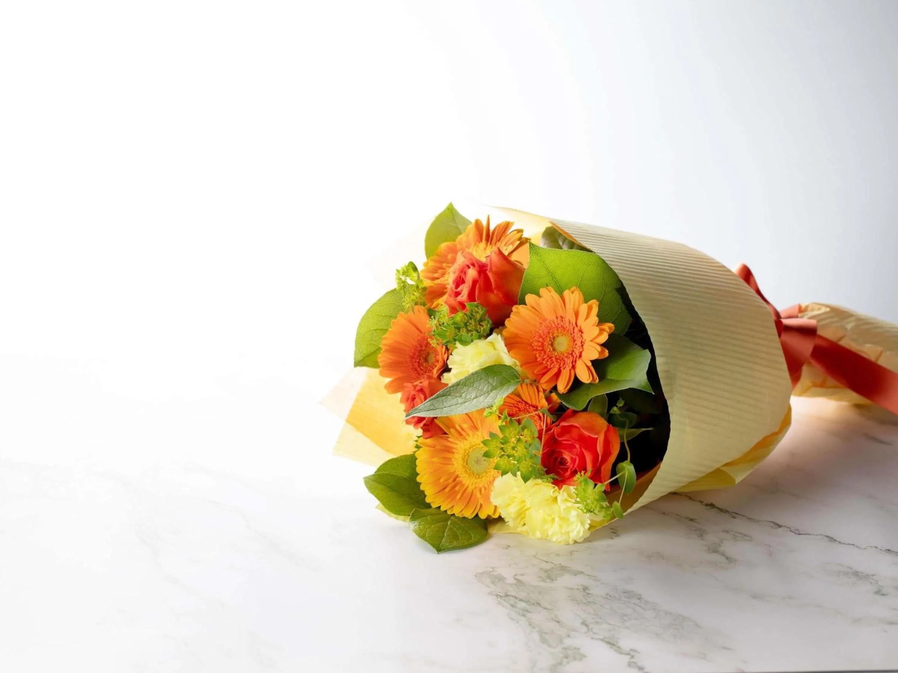 Other in Mercure Yokosuka