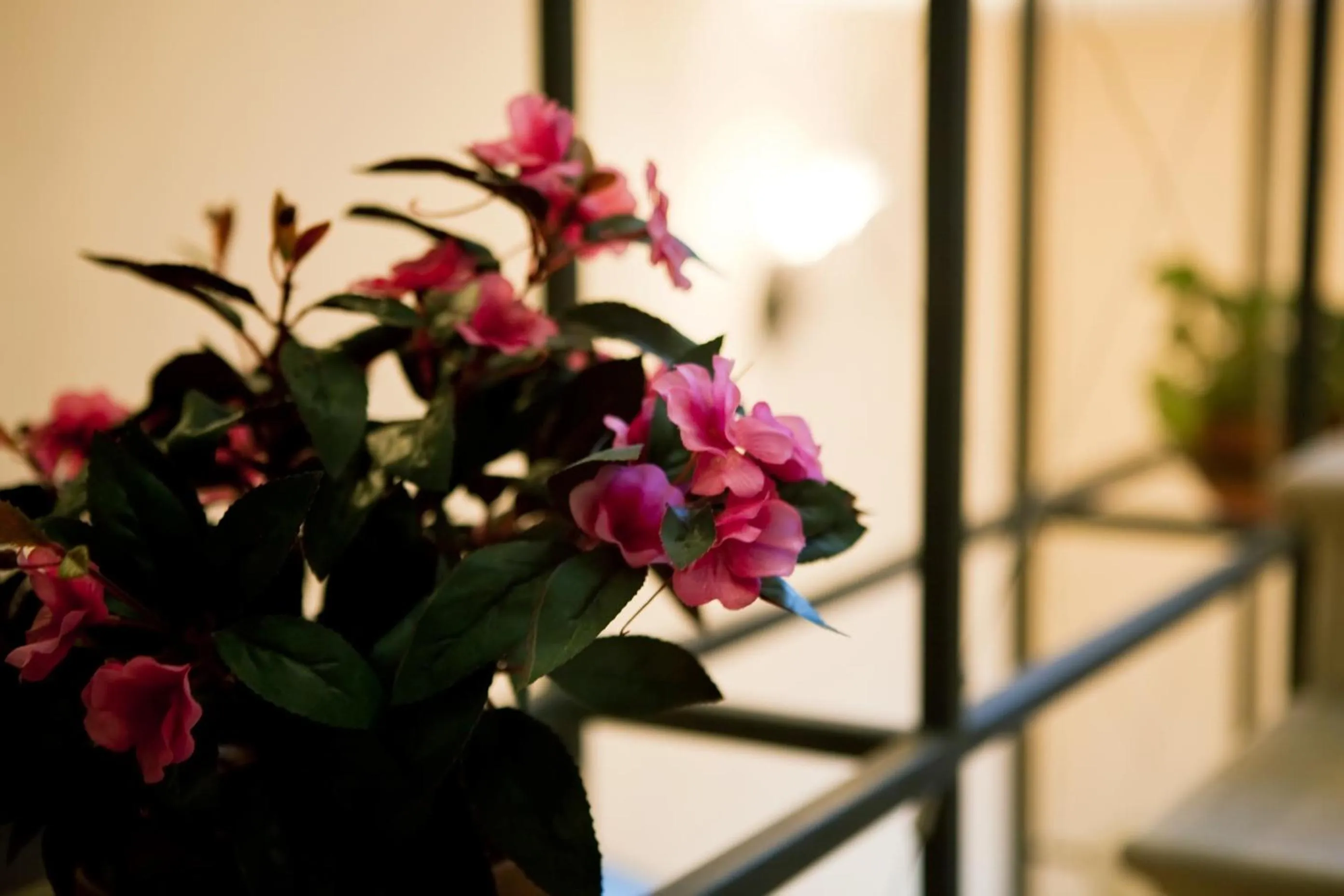 Decorative detail in Oselya Hotel