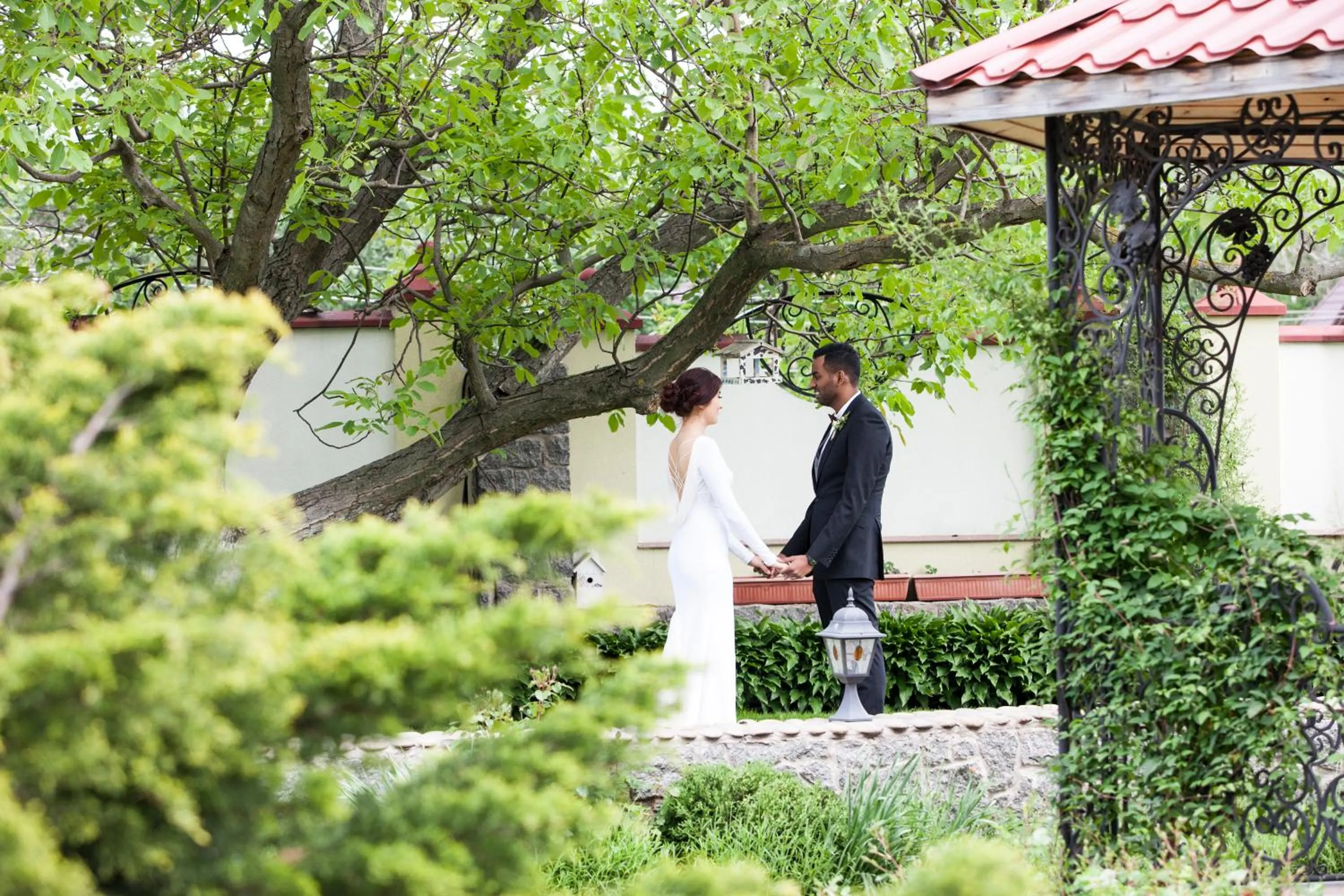Garden in Oselya Hotel