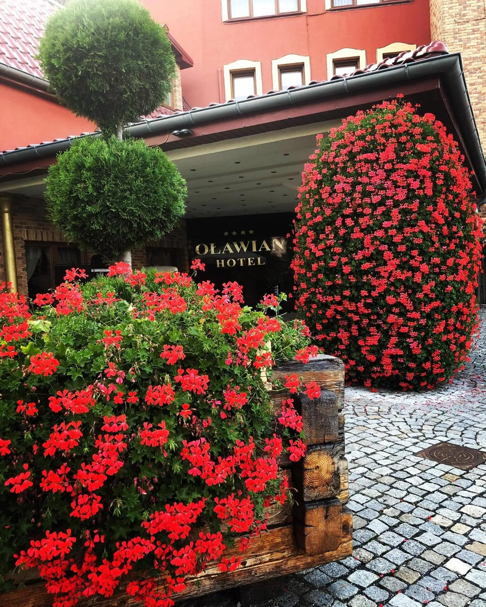 Garden in Oławian Hotel