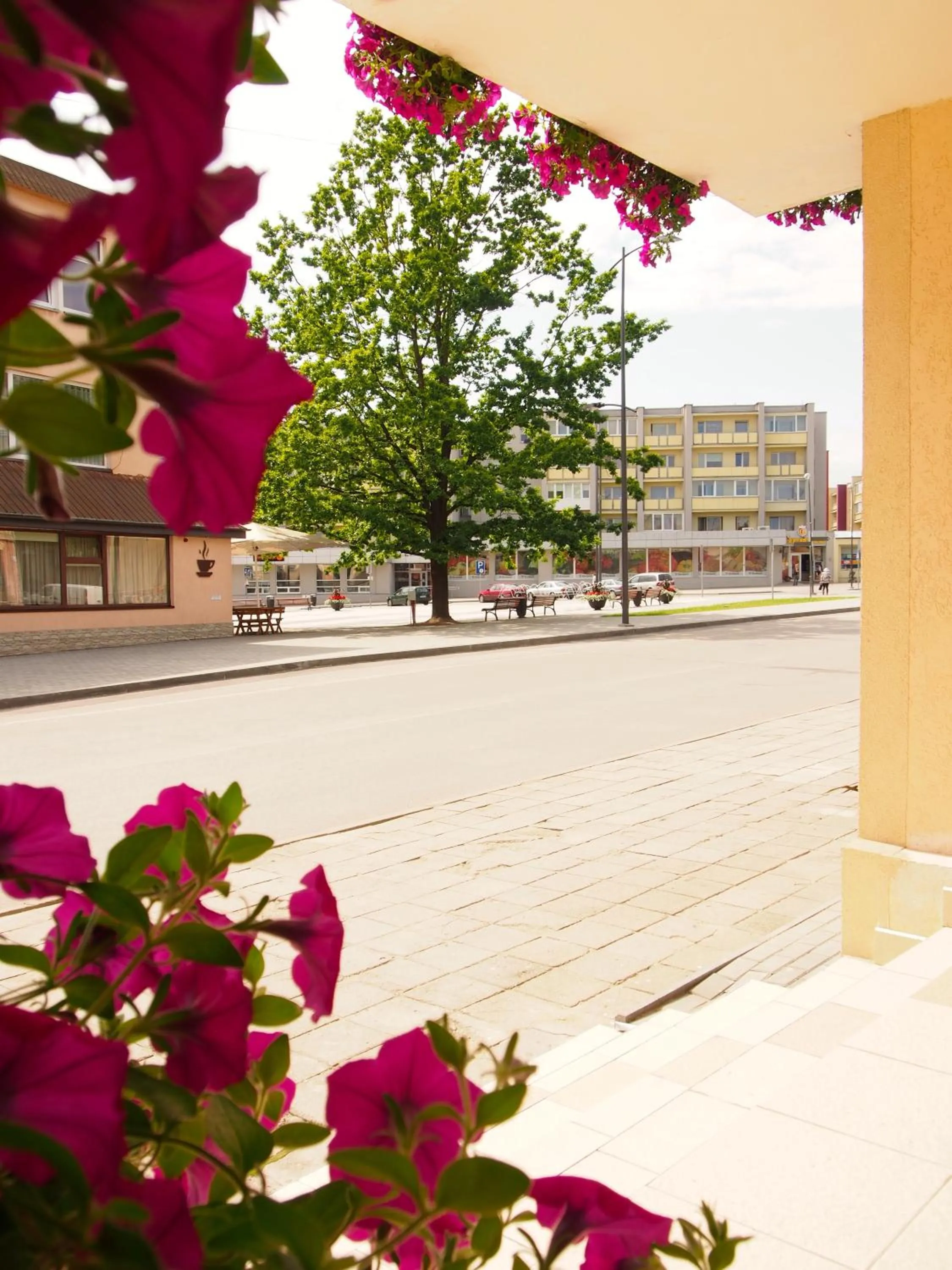 City view in Šiaurės Vartai