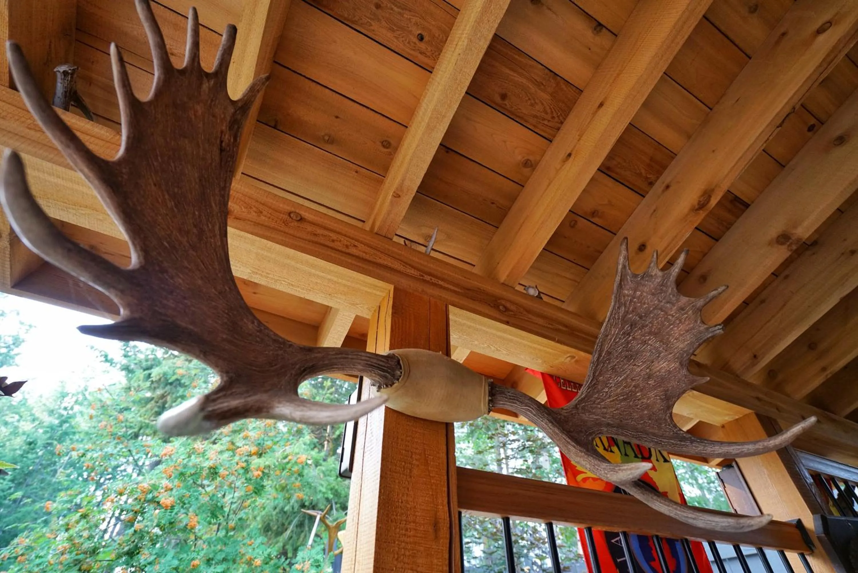 Facade/entrance in Deer Ridge B&B