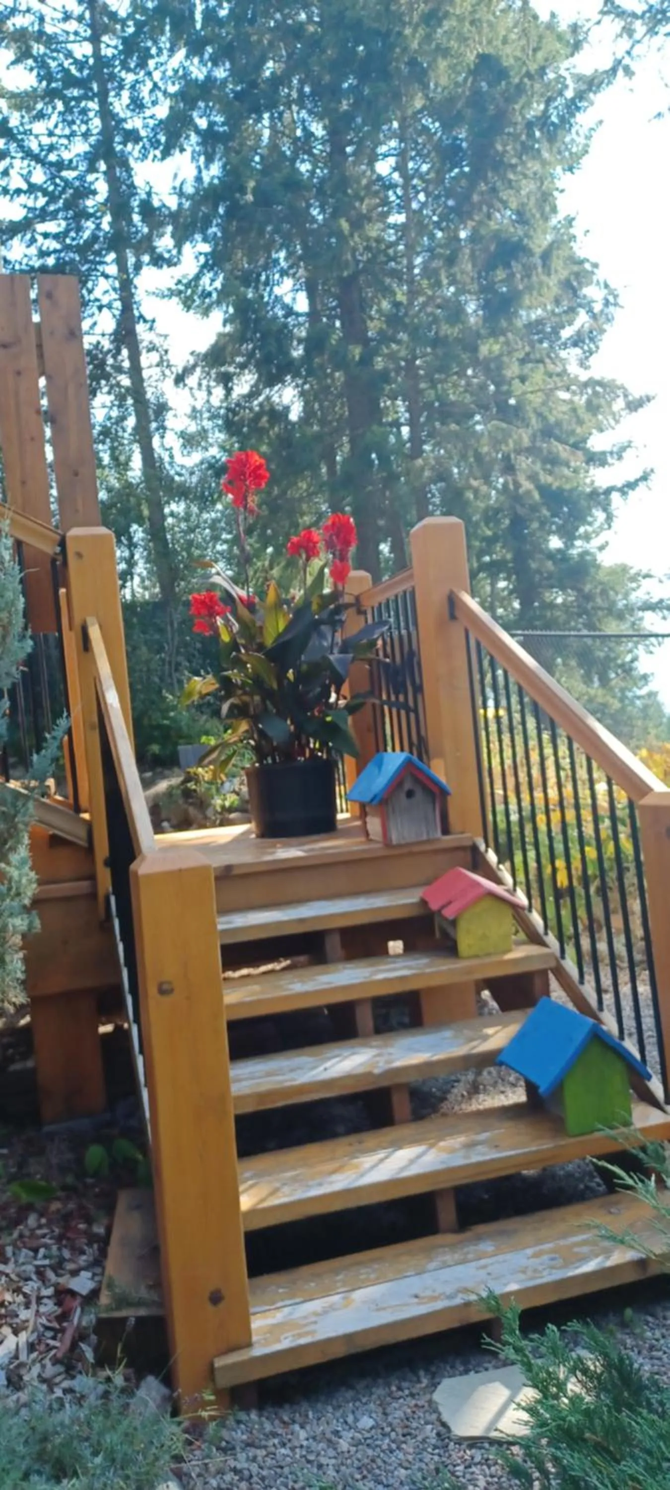 Property building in Deer Ridge B&B