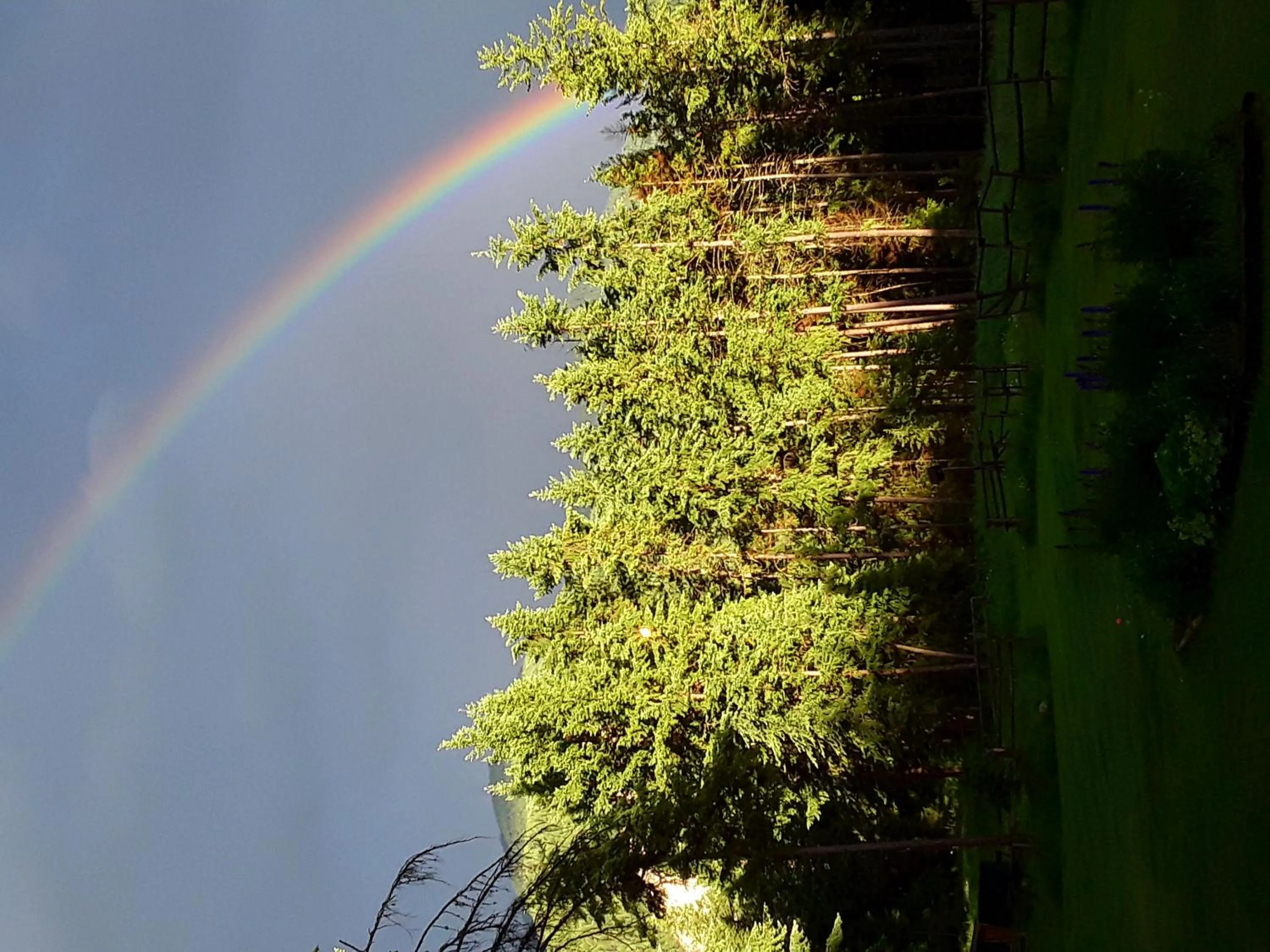 Time of day in Deer Ridge B&B