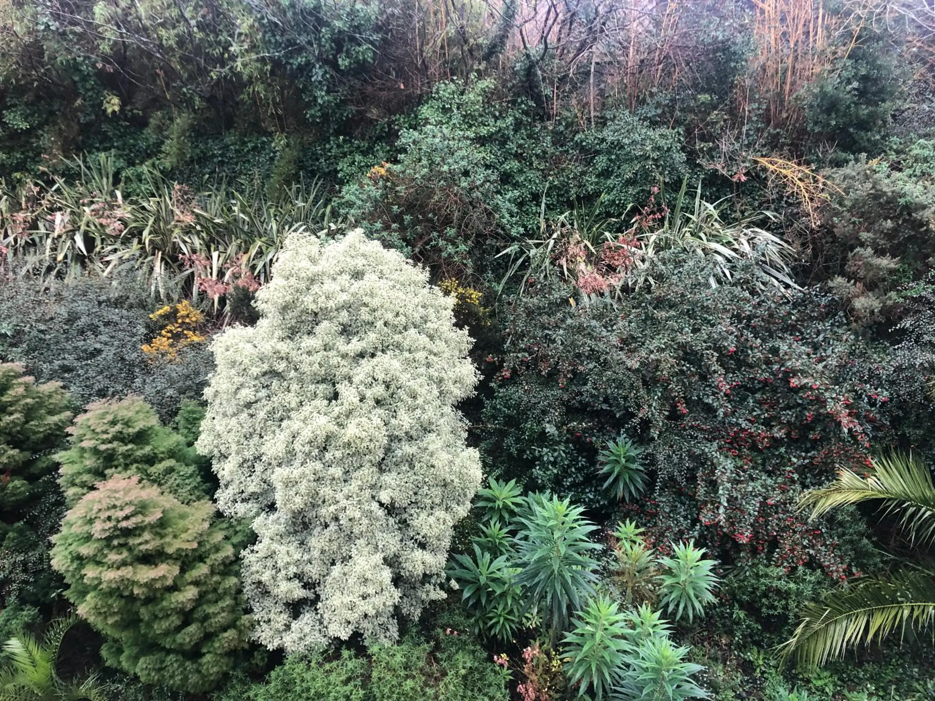 Garden view in Logis Hotel De La Corniche Garden view in Logis Hotel De La Corniche