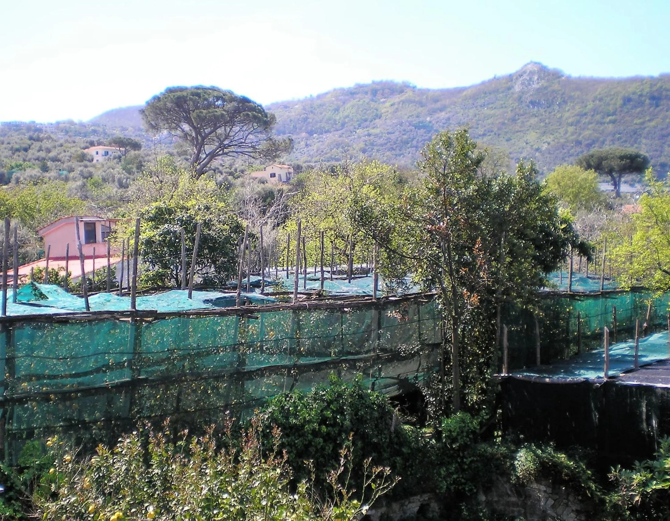 Garden view in Itaca B&B