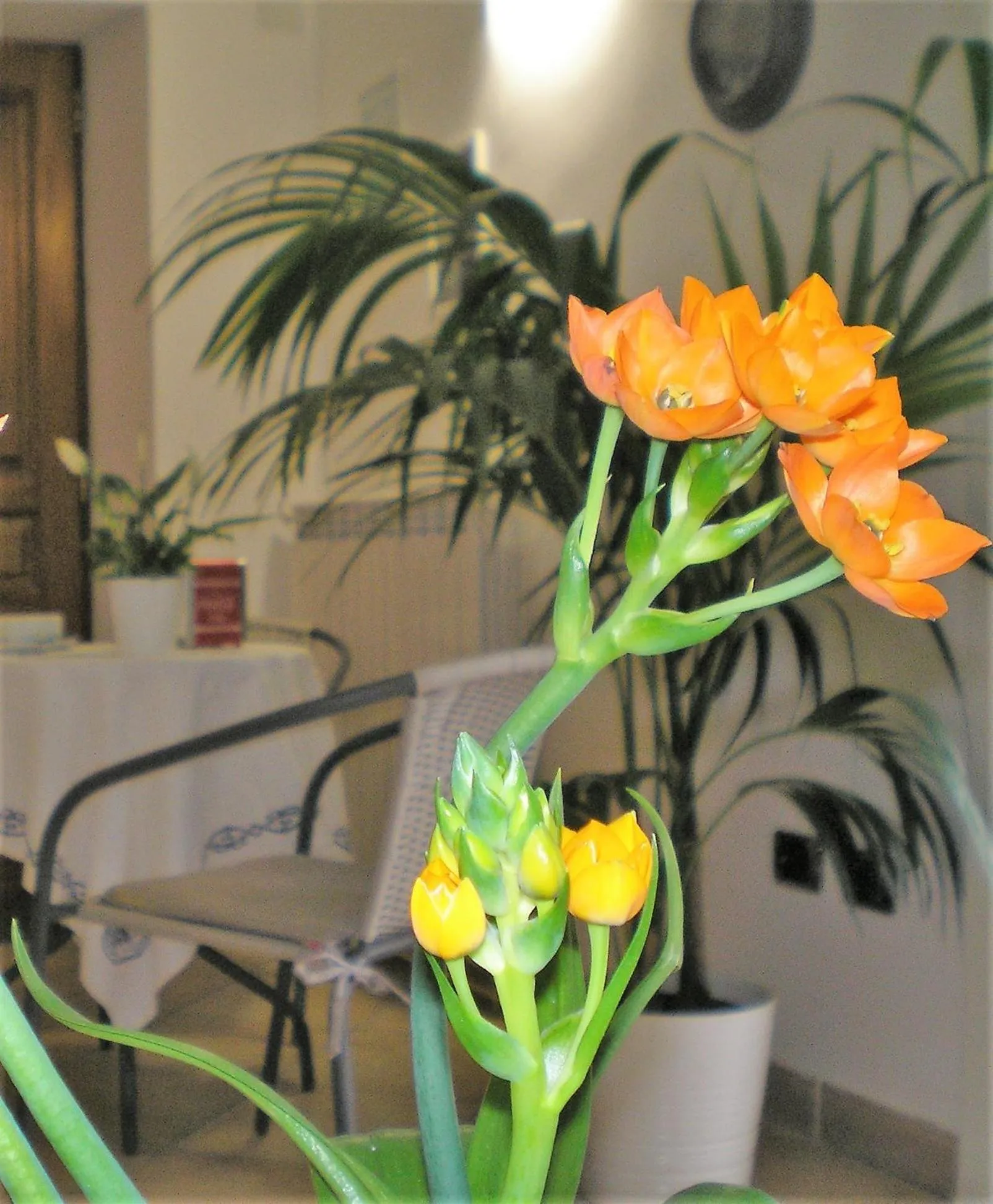 Decorative detail in Itaca B&B