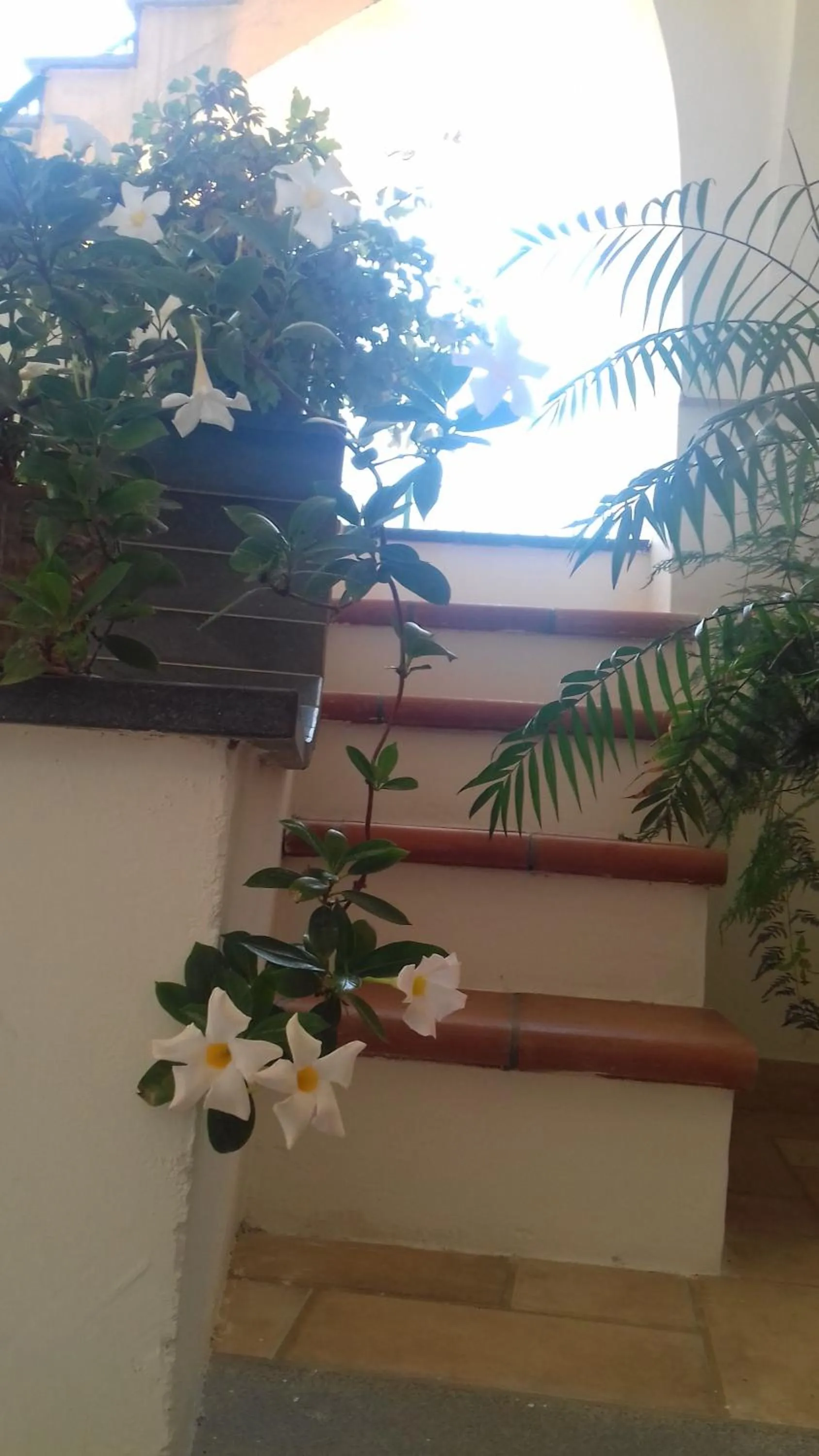 Facade/entrance in Itaca B&B