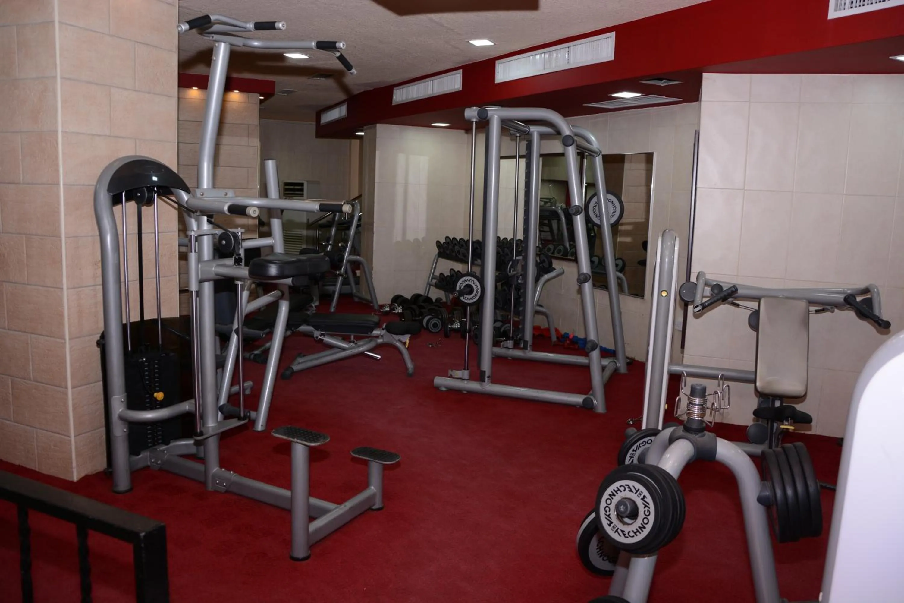 Animals in Rojina Hotel