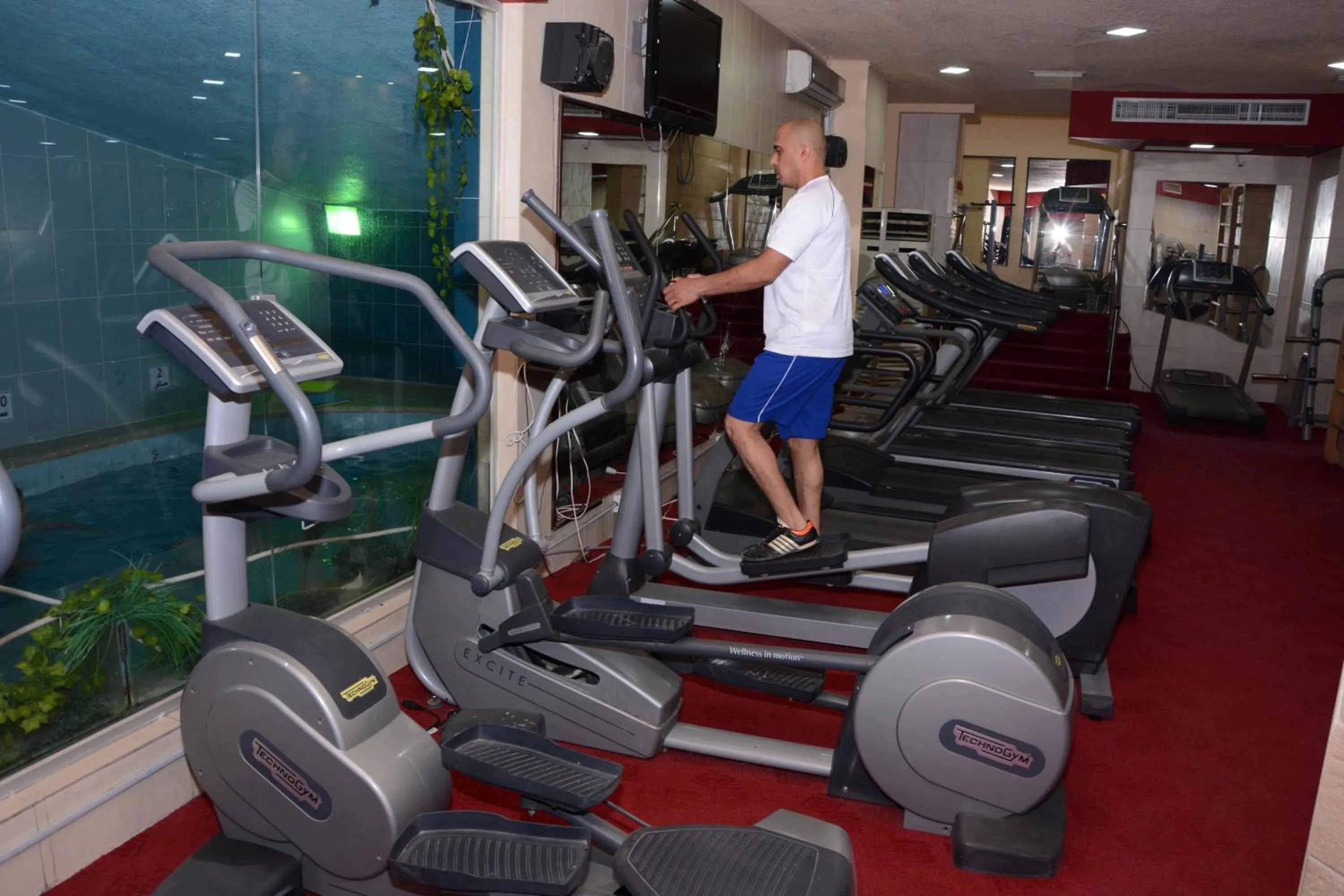 Activities in Rojina Hotel