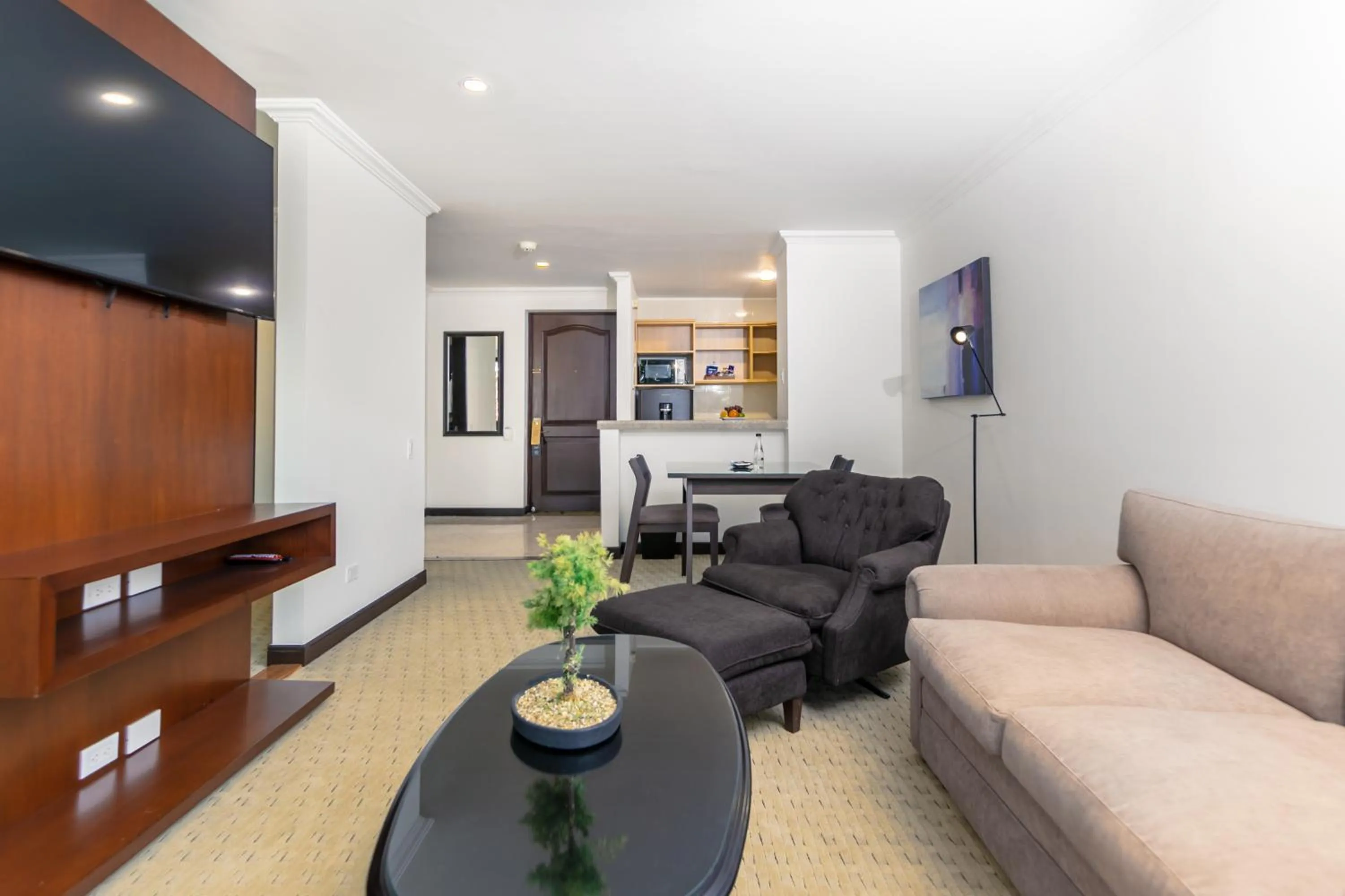 TV and multimedia in Hotel 101 Park House