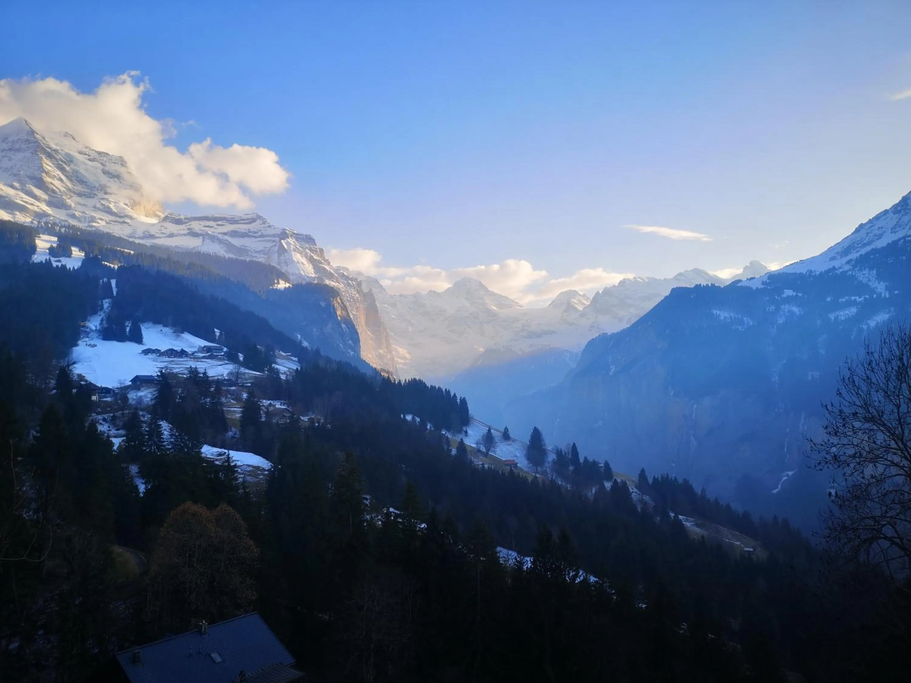 Natural landscape in Swiss Lodge Hotel Bernerhof