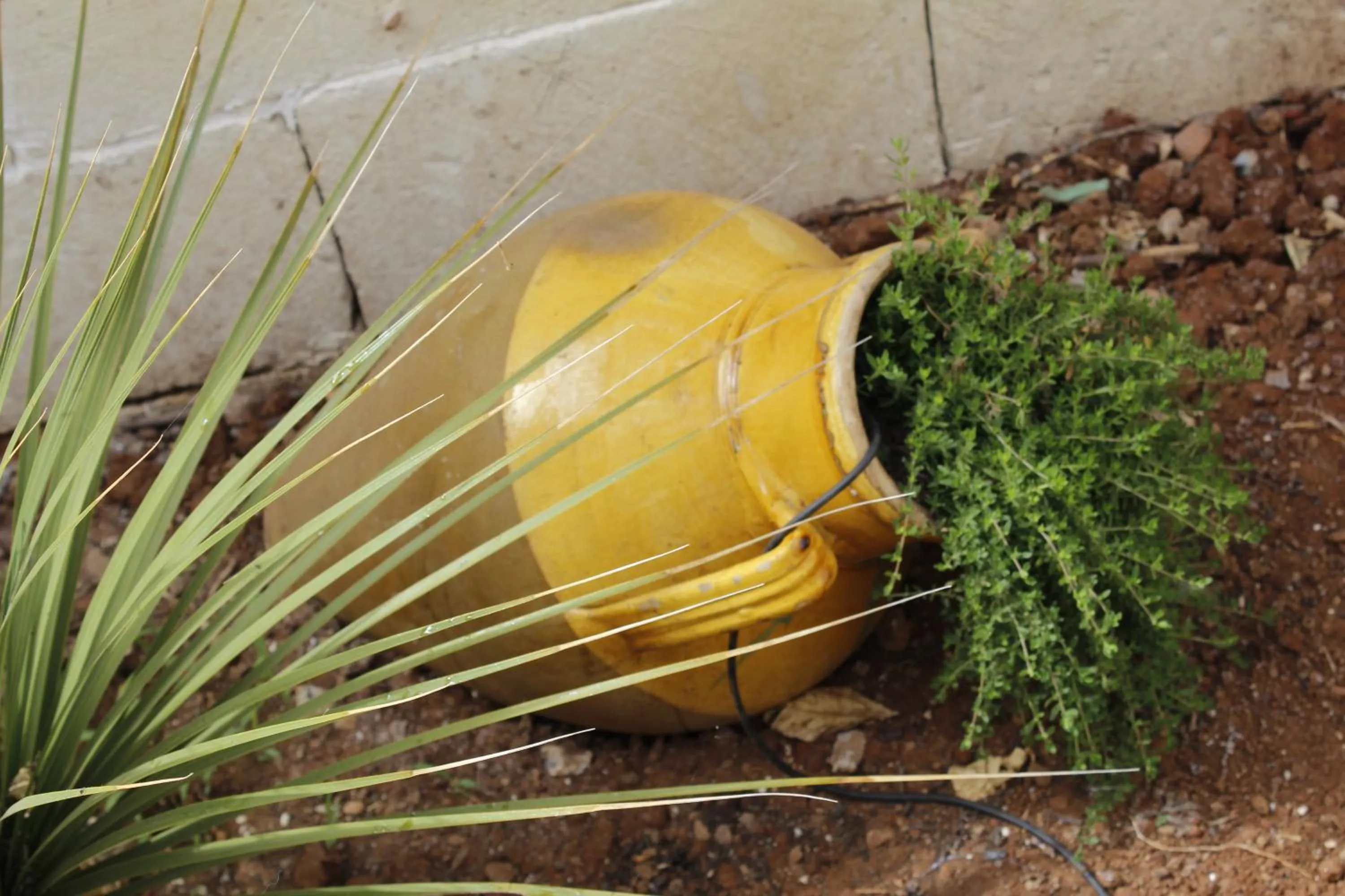 Garden in La Buona Creanza by Jdvacanze