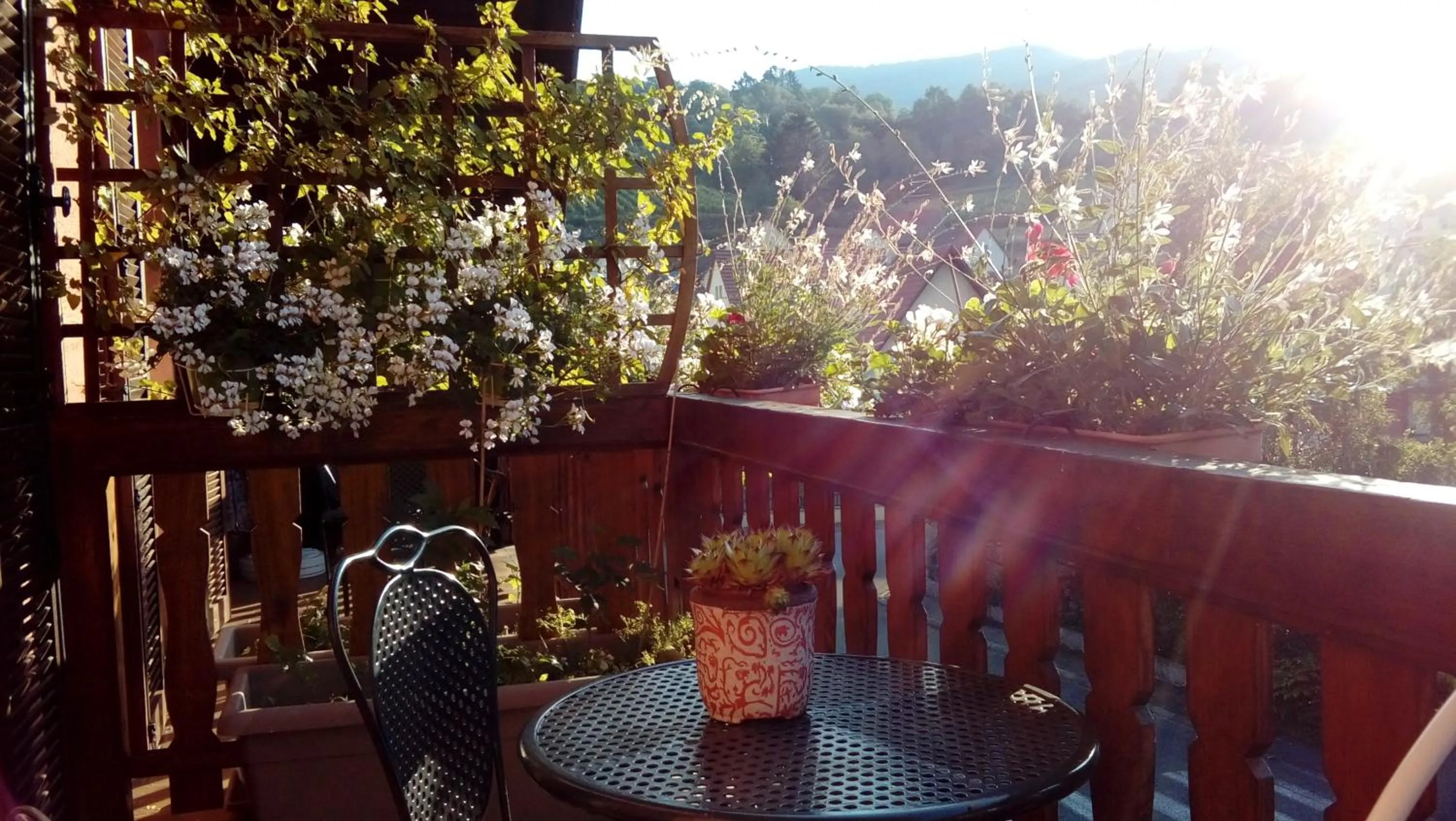 Balcony/Terrace in Marcia Donatti - A l'Ombre des Coteaux Sao Paulo