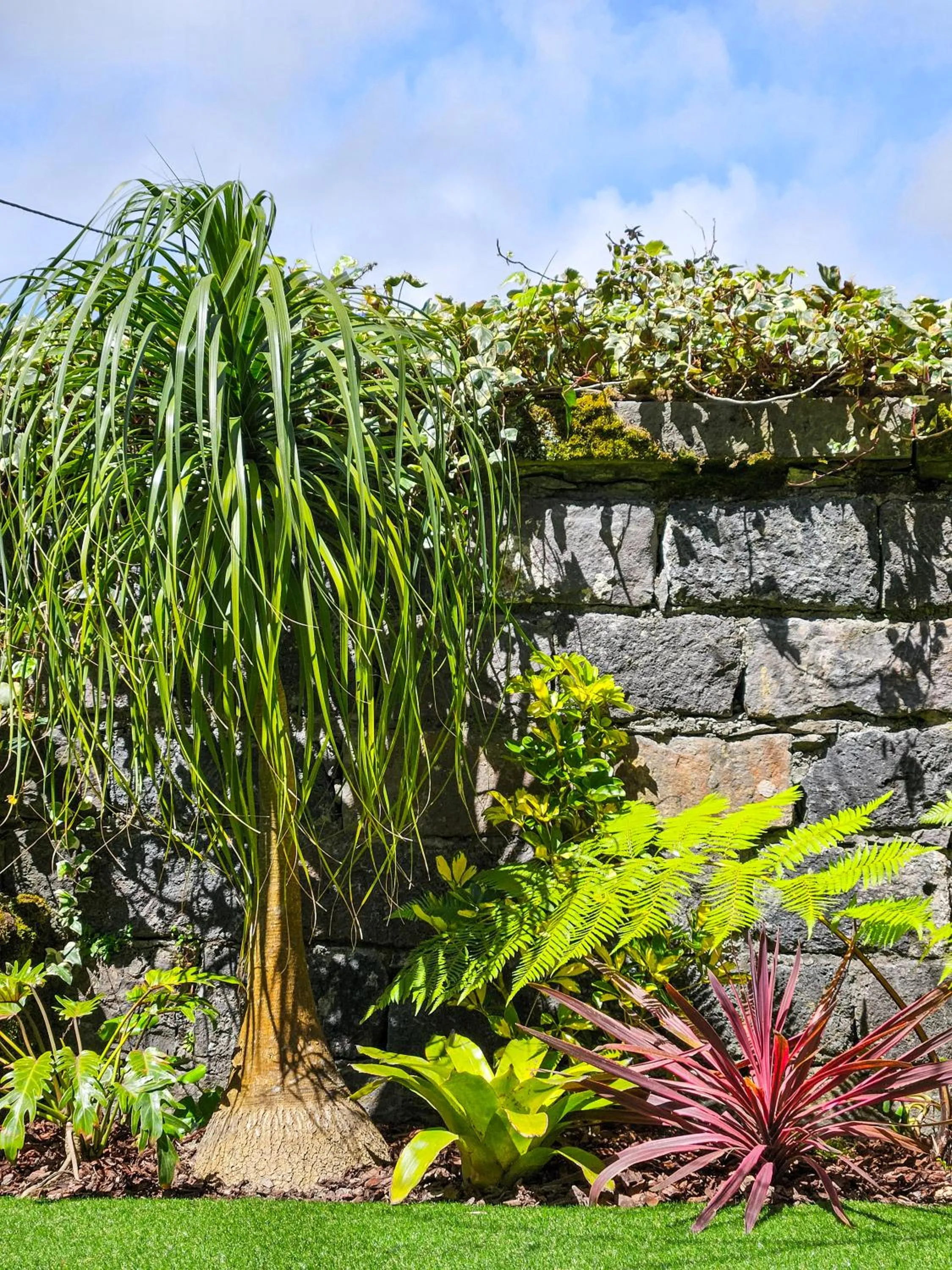 Day in Hotel Vale Verde