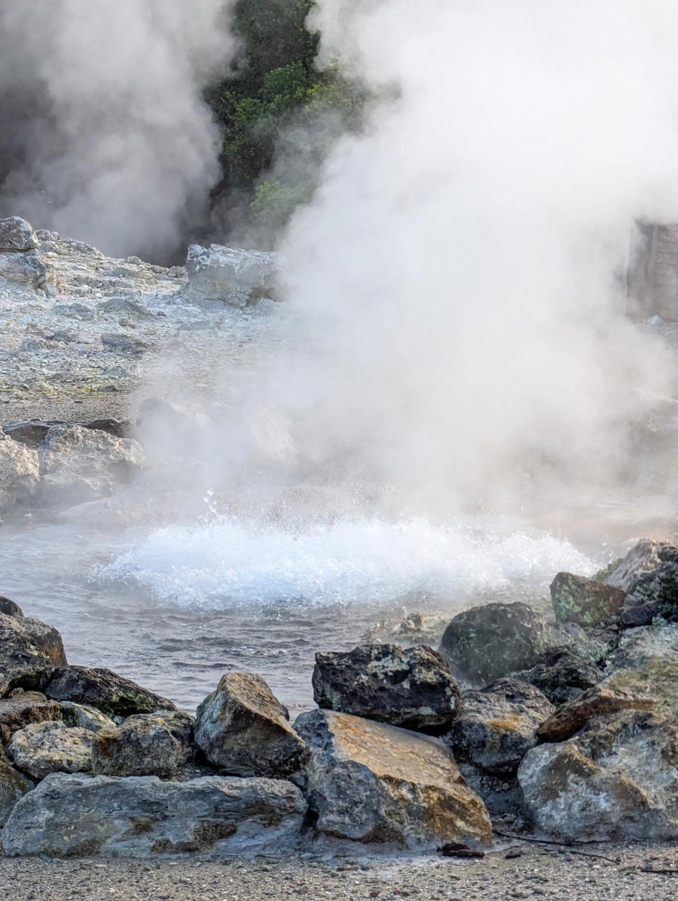 Natural landscape in Hotel Vale Verde
