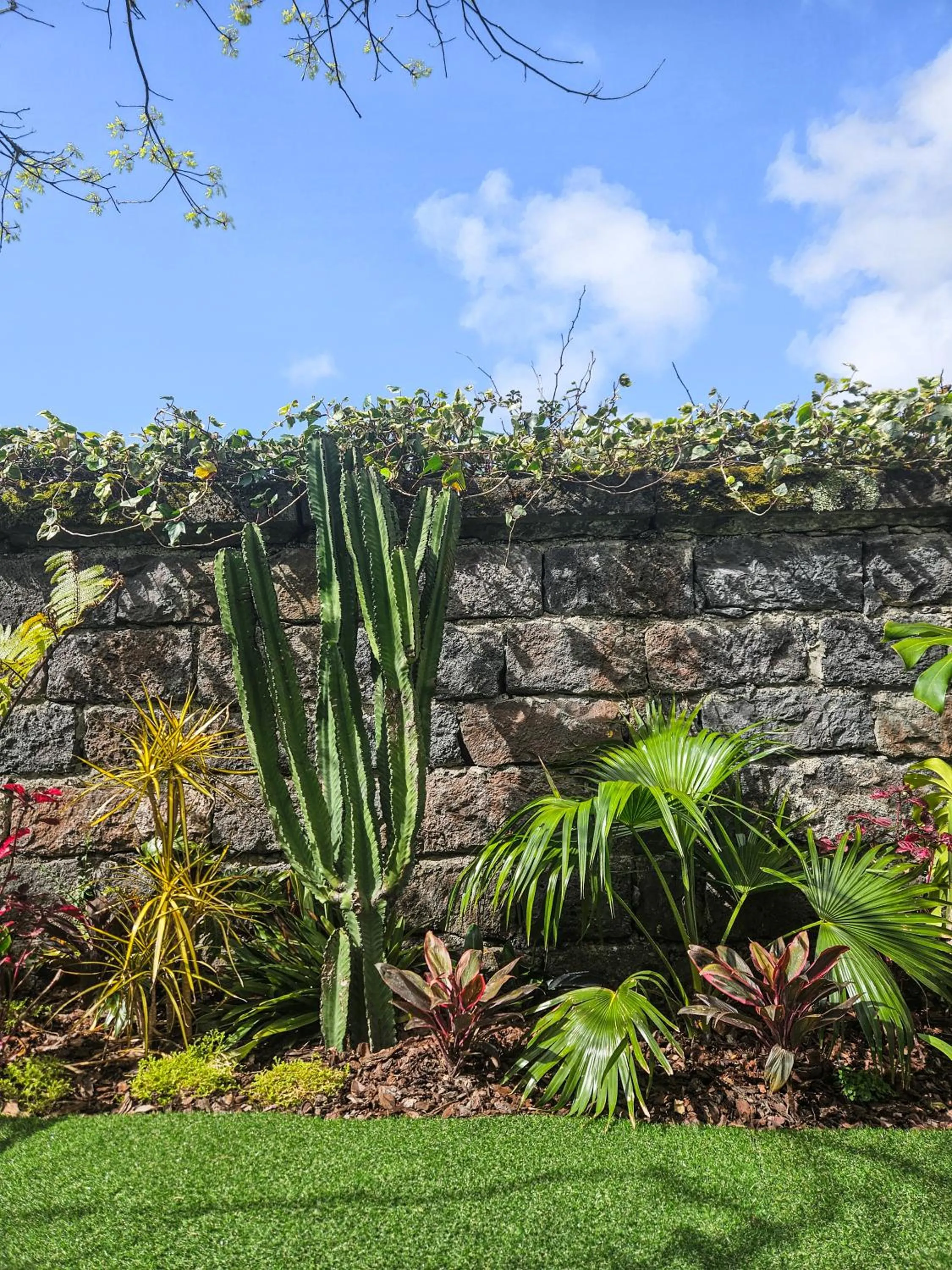 Garden in Hotel Vale Verde