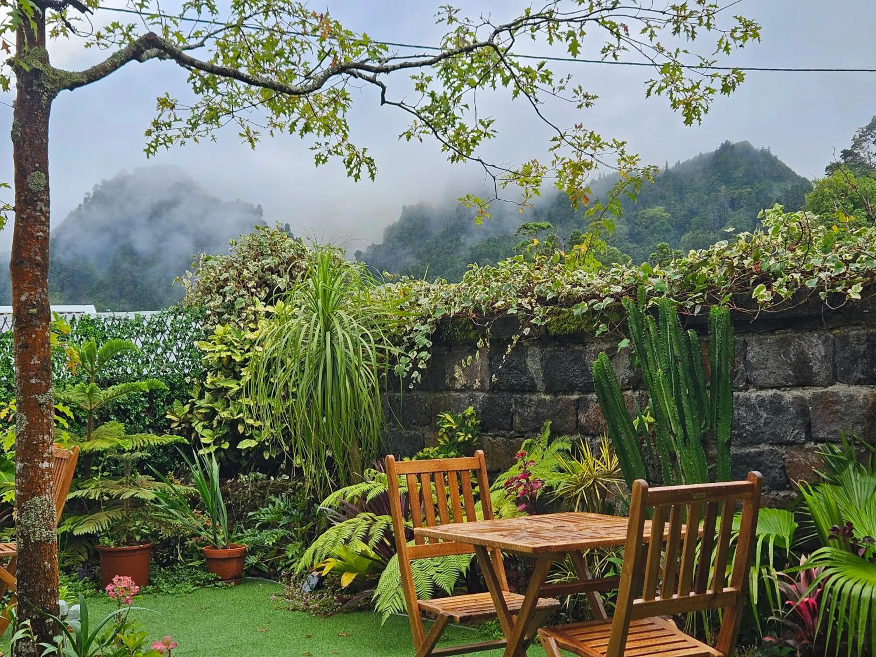 Garden in Hotel Vale Verde