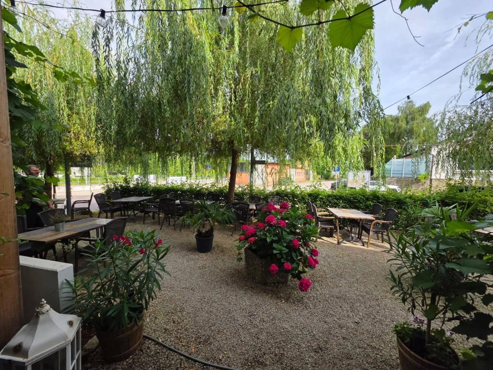 Restaurant/places to eat in Wein Erlebnis Hotel Maimühle