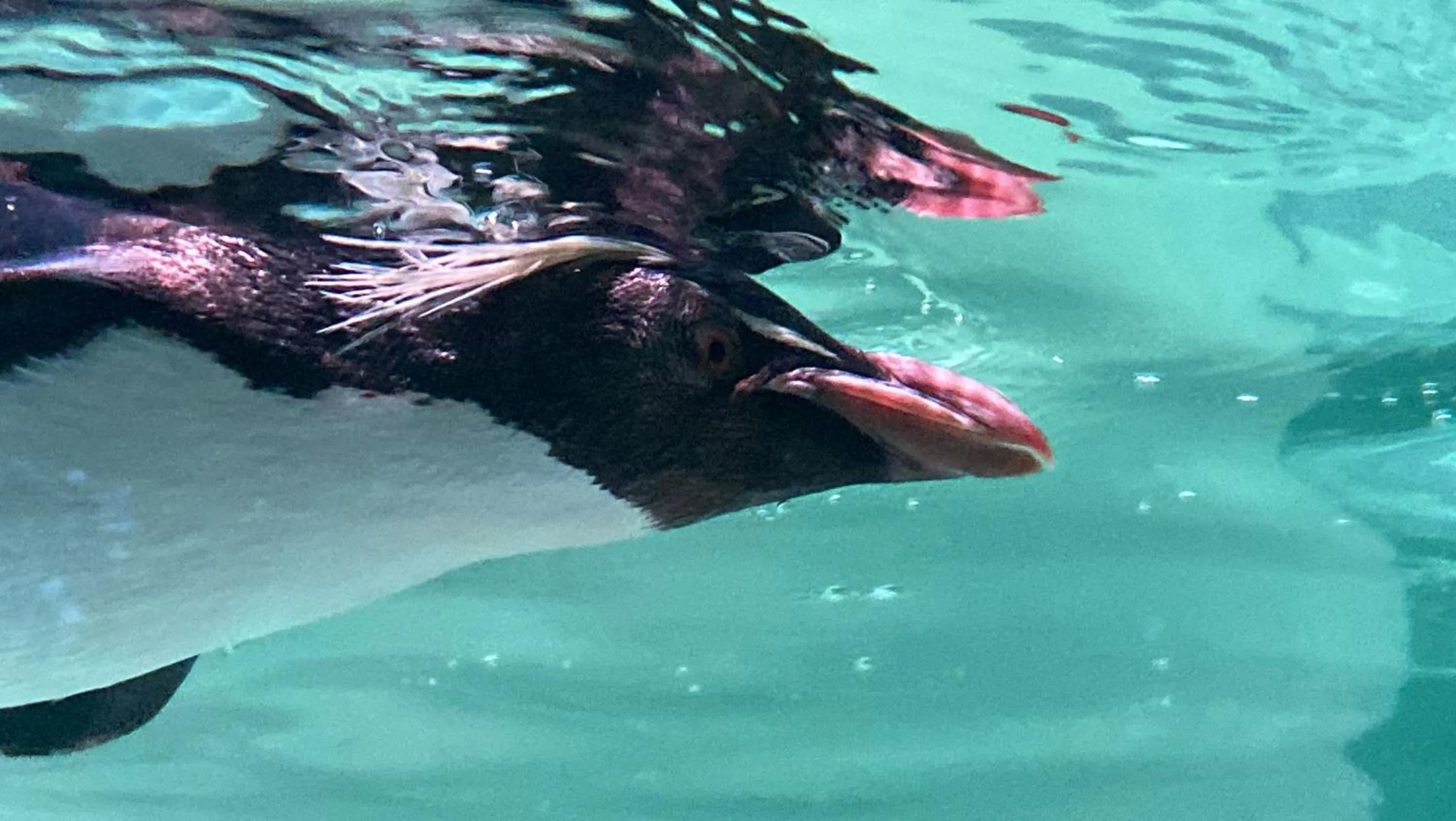 Nearby landmark in Mercure Sapporo