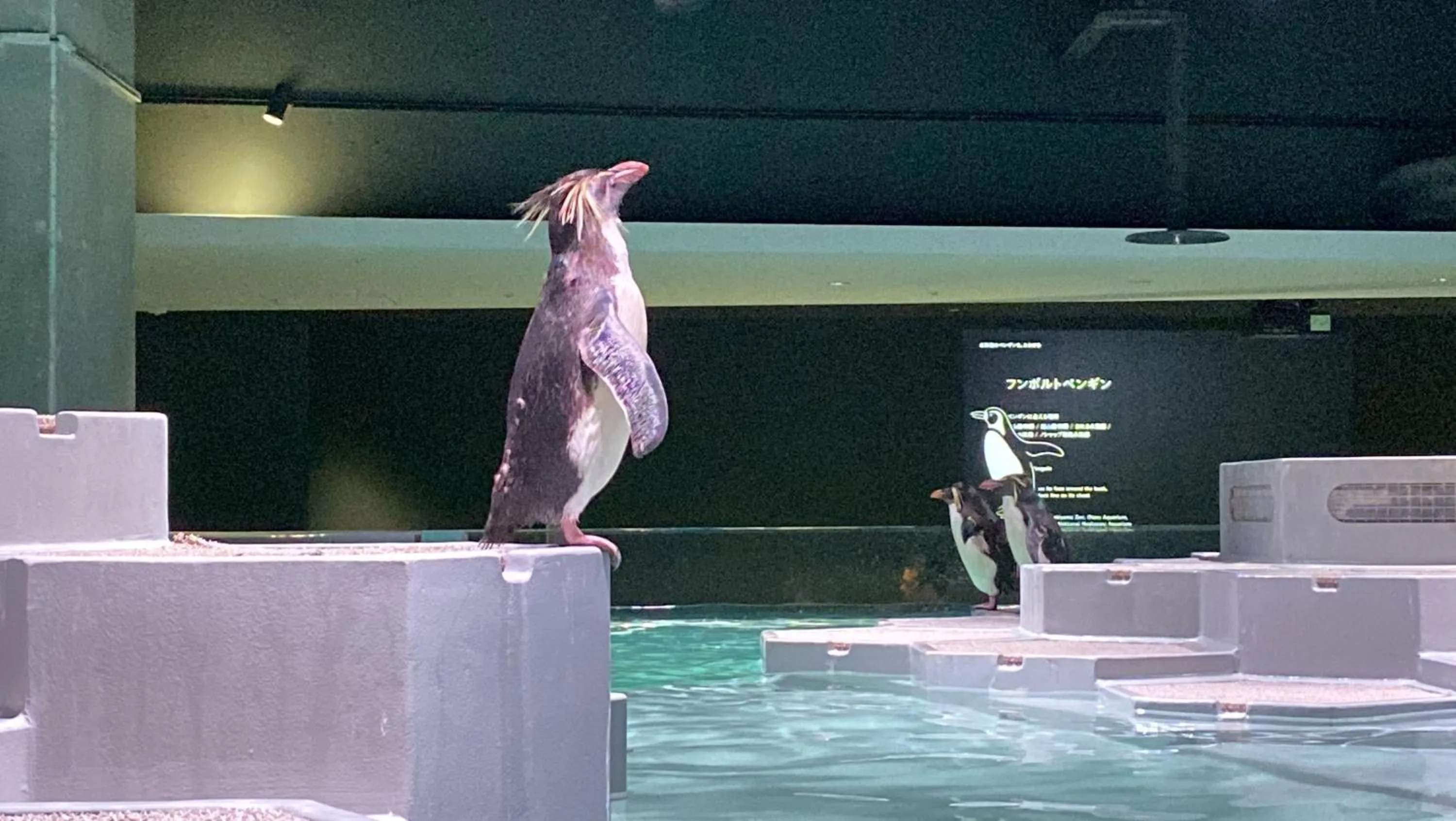 Nearby landmark in Mercure Sapporo