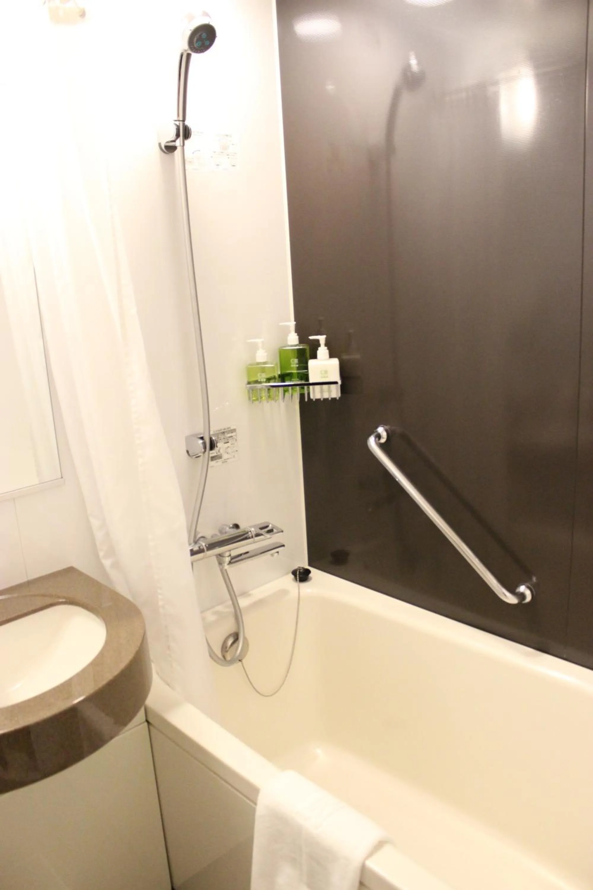 Bathroom in Hotel Ryumeikan Tokyo