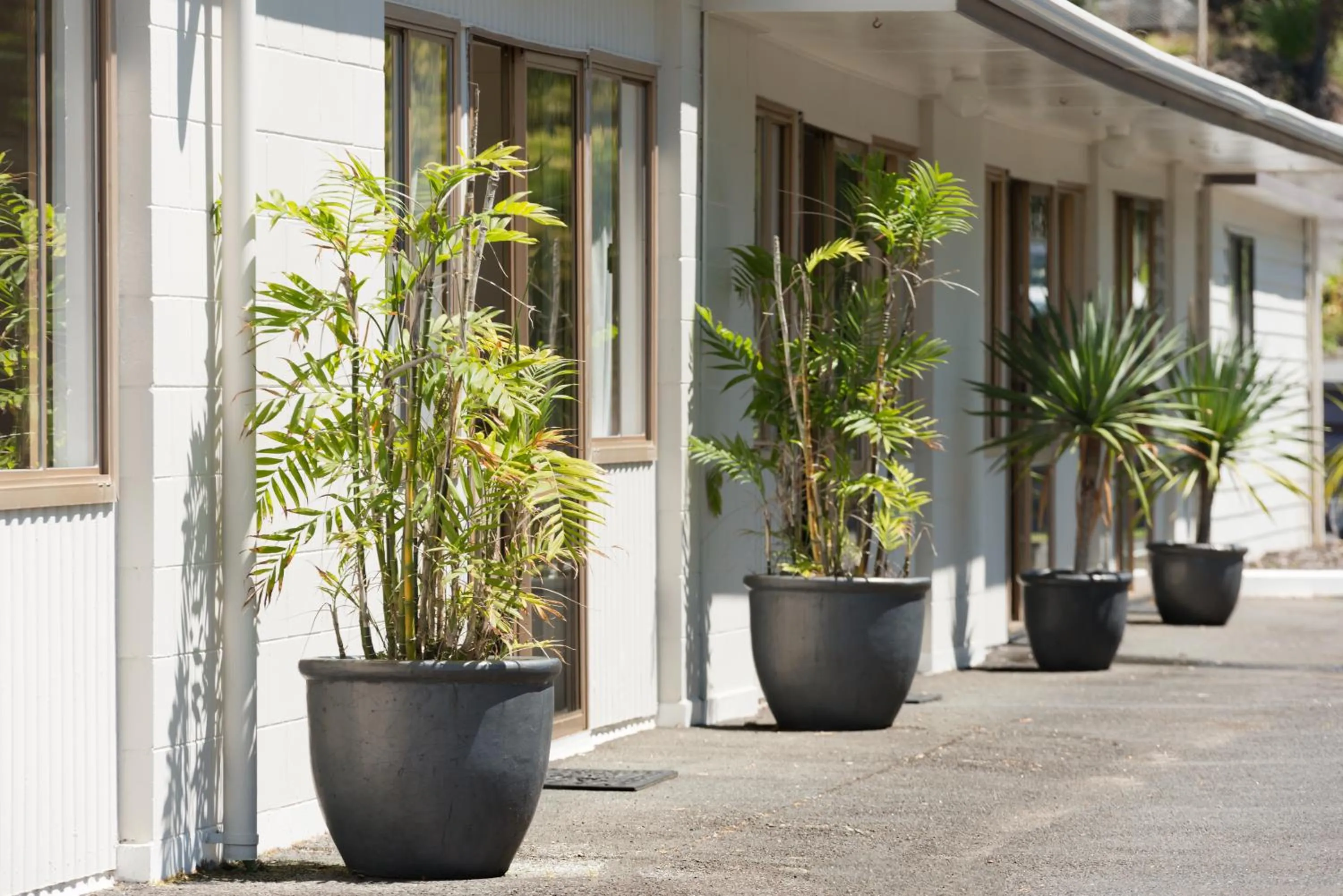 Summer in Aarangi Tui Motel