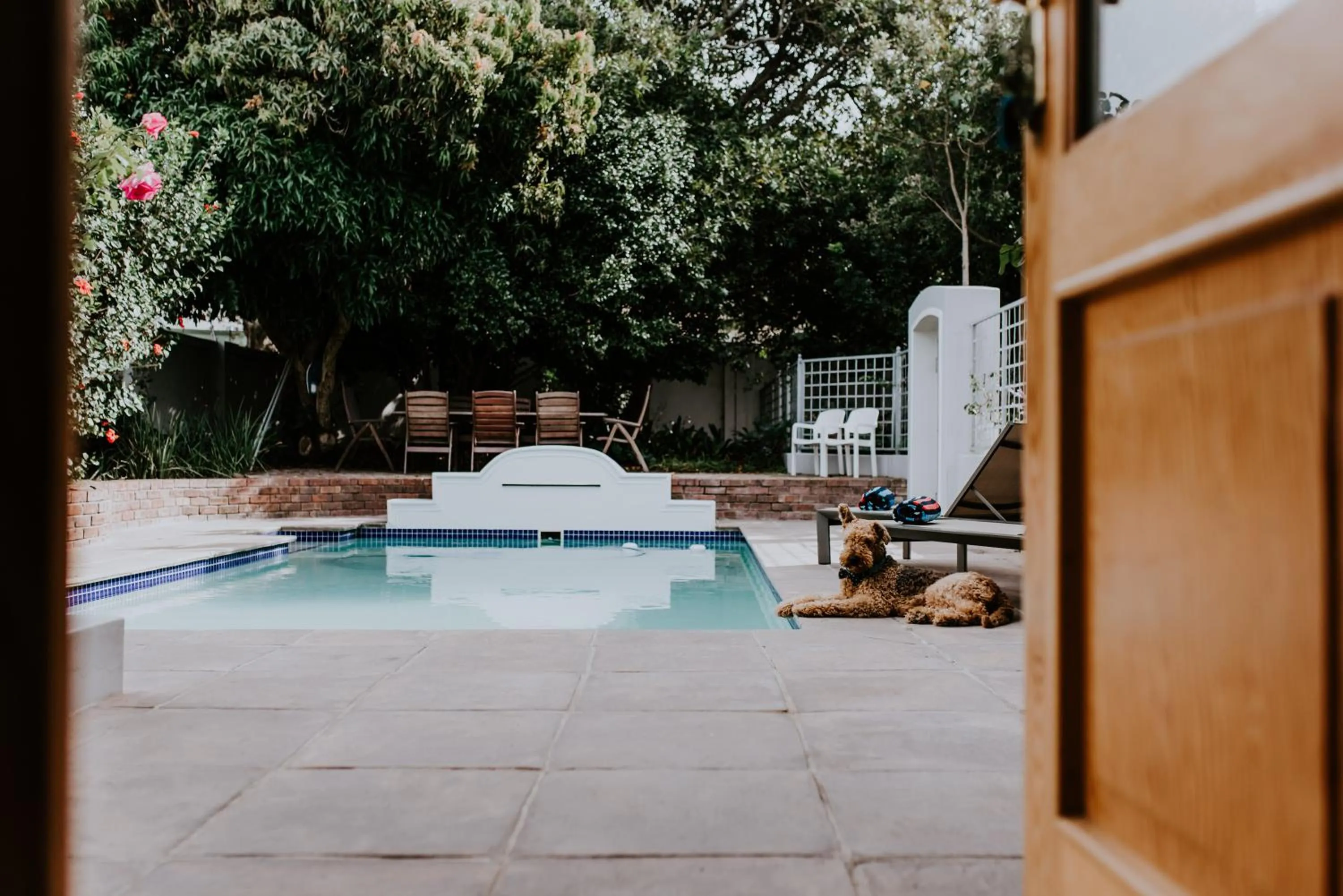 Swimming pool in The Victorian Goose